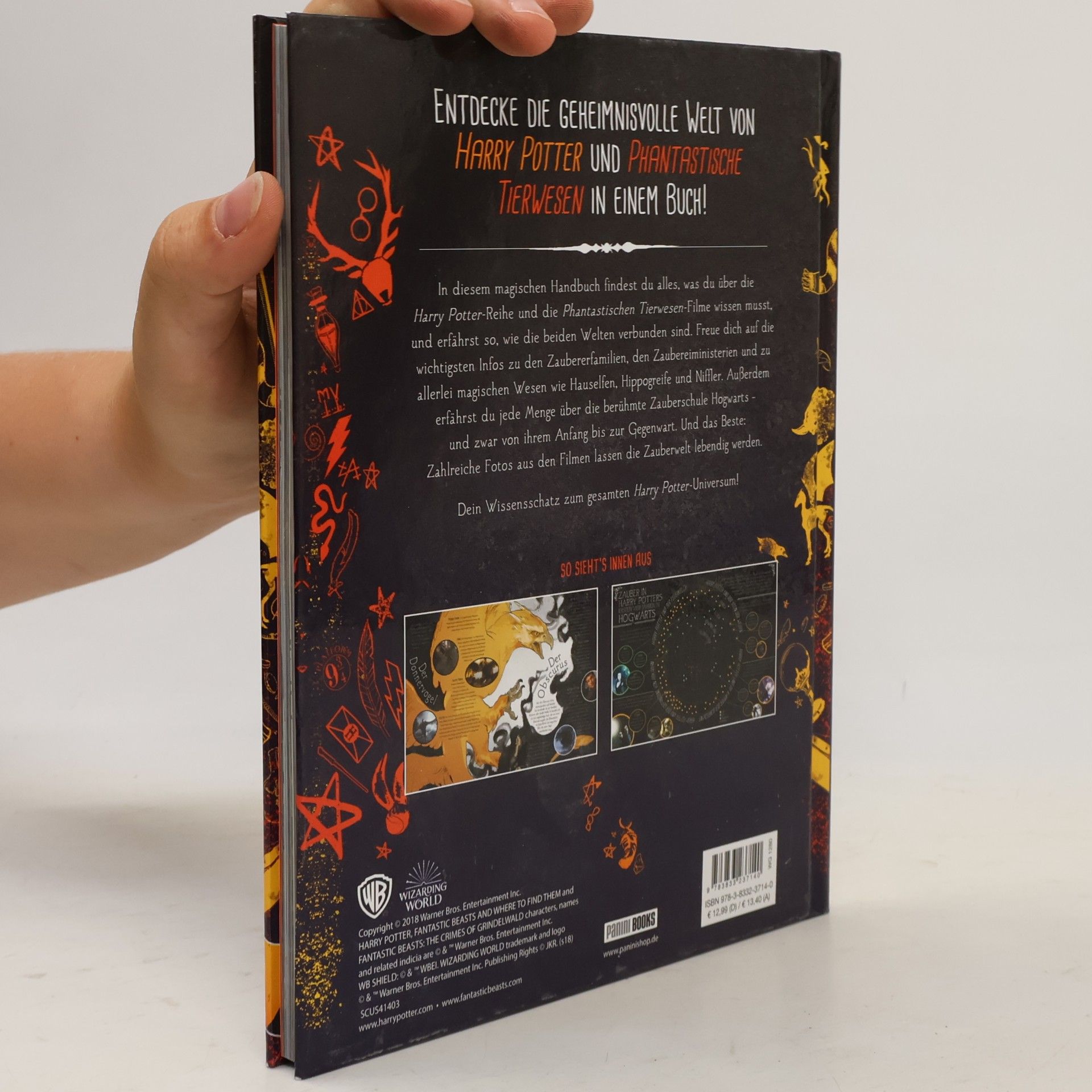 Michael Kogge Harry Potter & phantastische Tierwesen - das große Buch der Zauberwelt