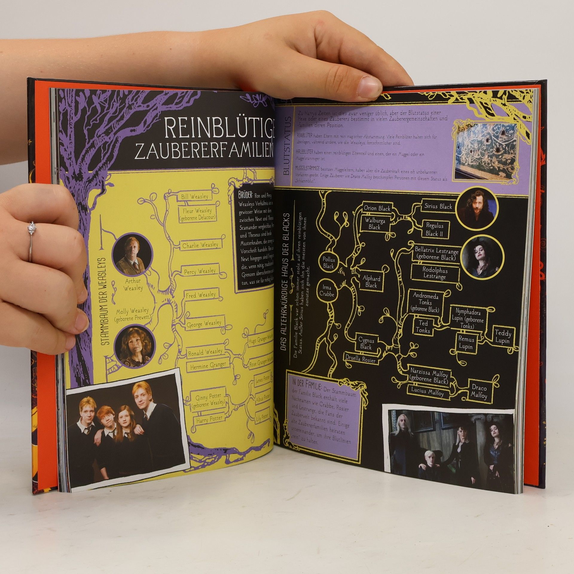 Michael Kogge Harry Potter & phantastische Tierwesen - das große Buch der Zauberwelt