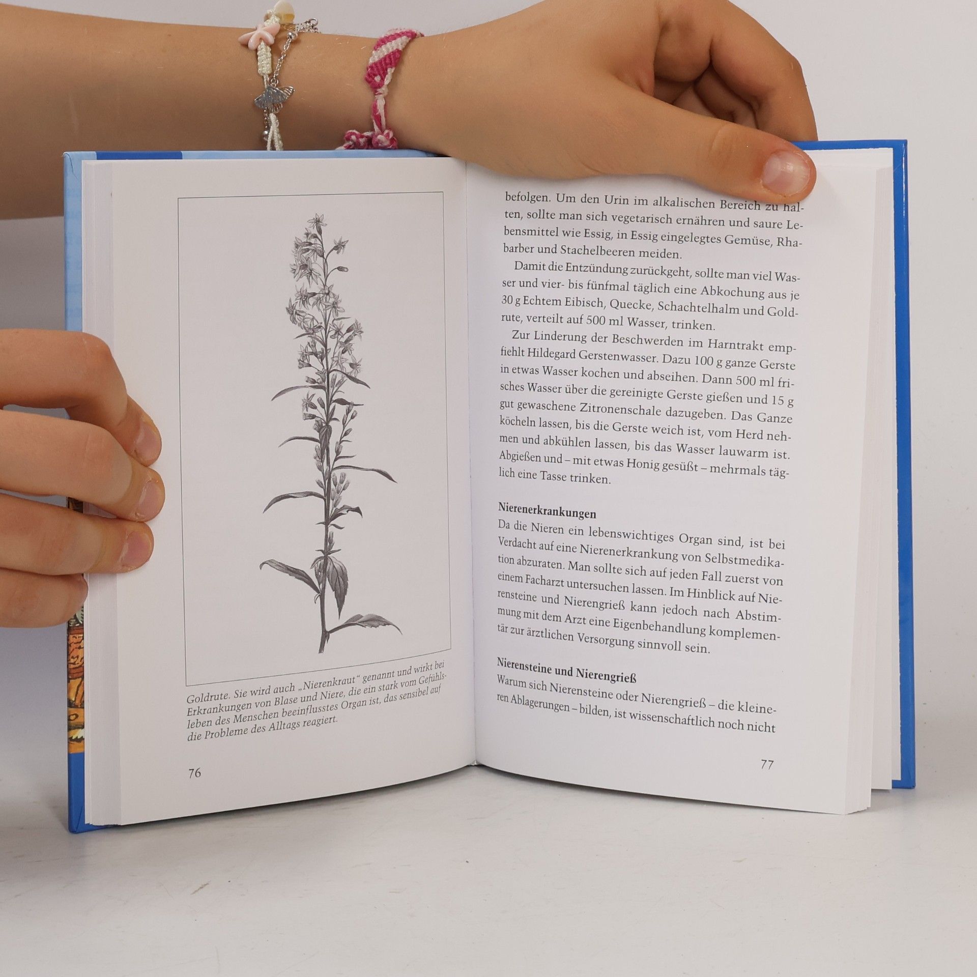 Christiane Schmid Hildegard von Bingen, das Gesundheitsbuch