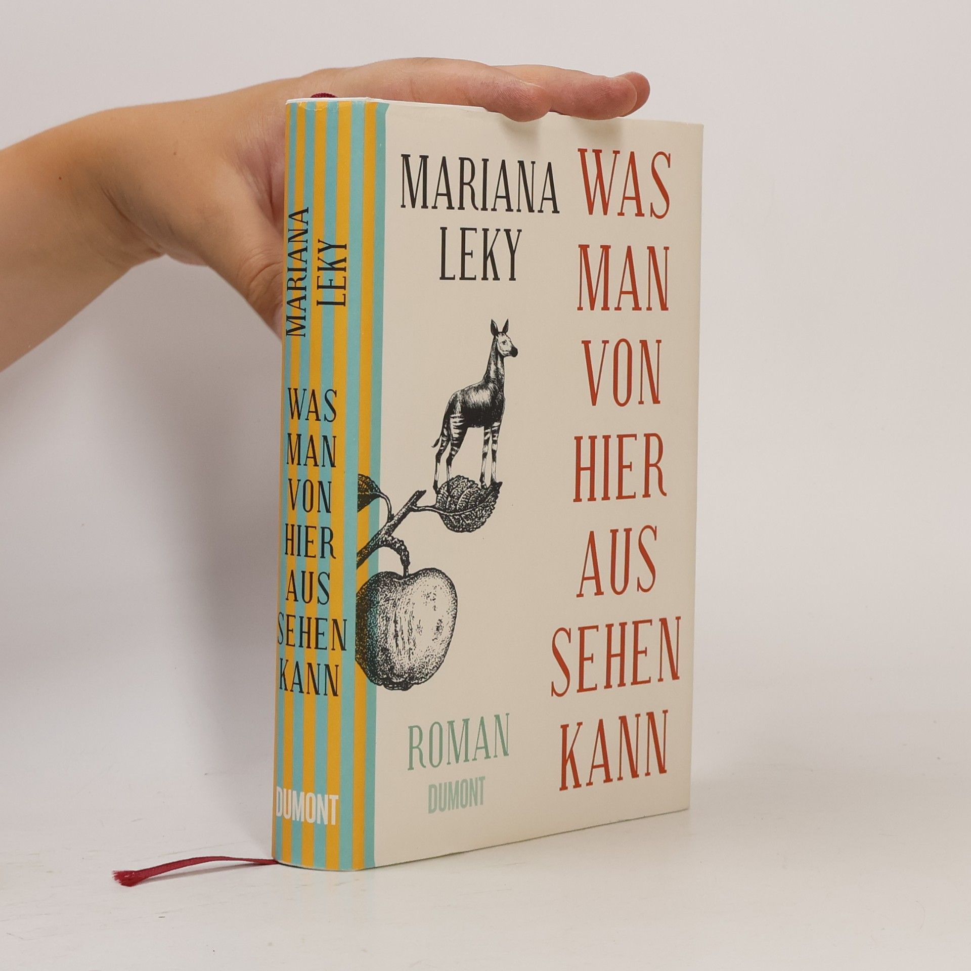 Mariana Leky Was man von hier aus sehen kann