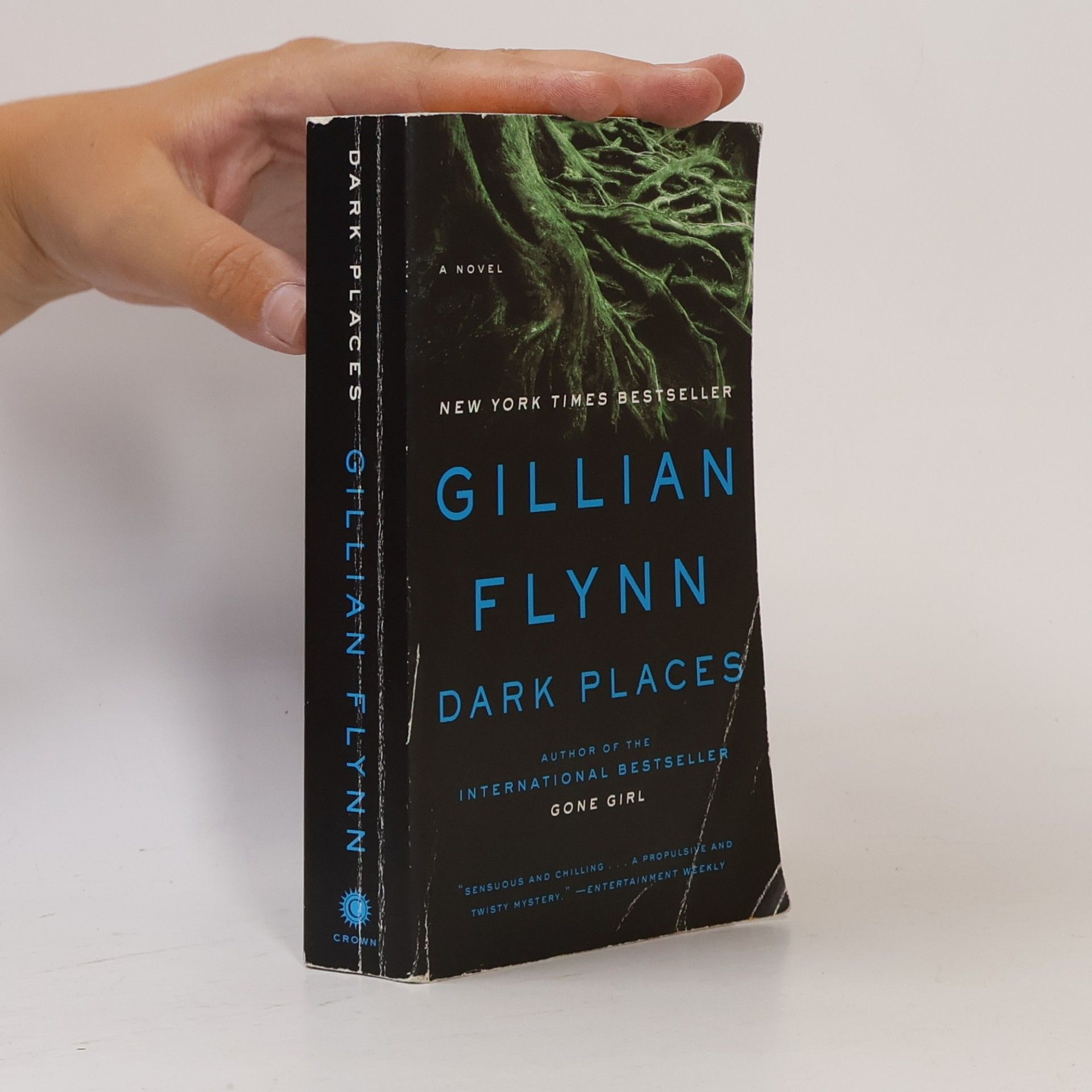 Gillian Flynn Dark Places