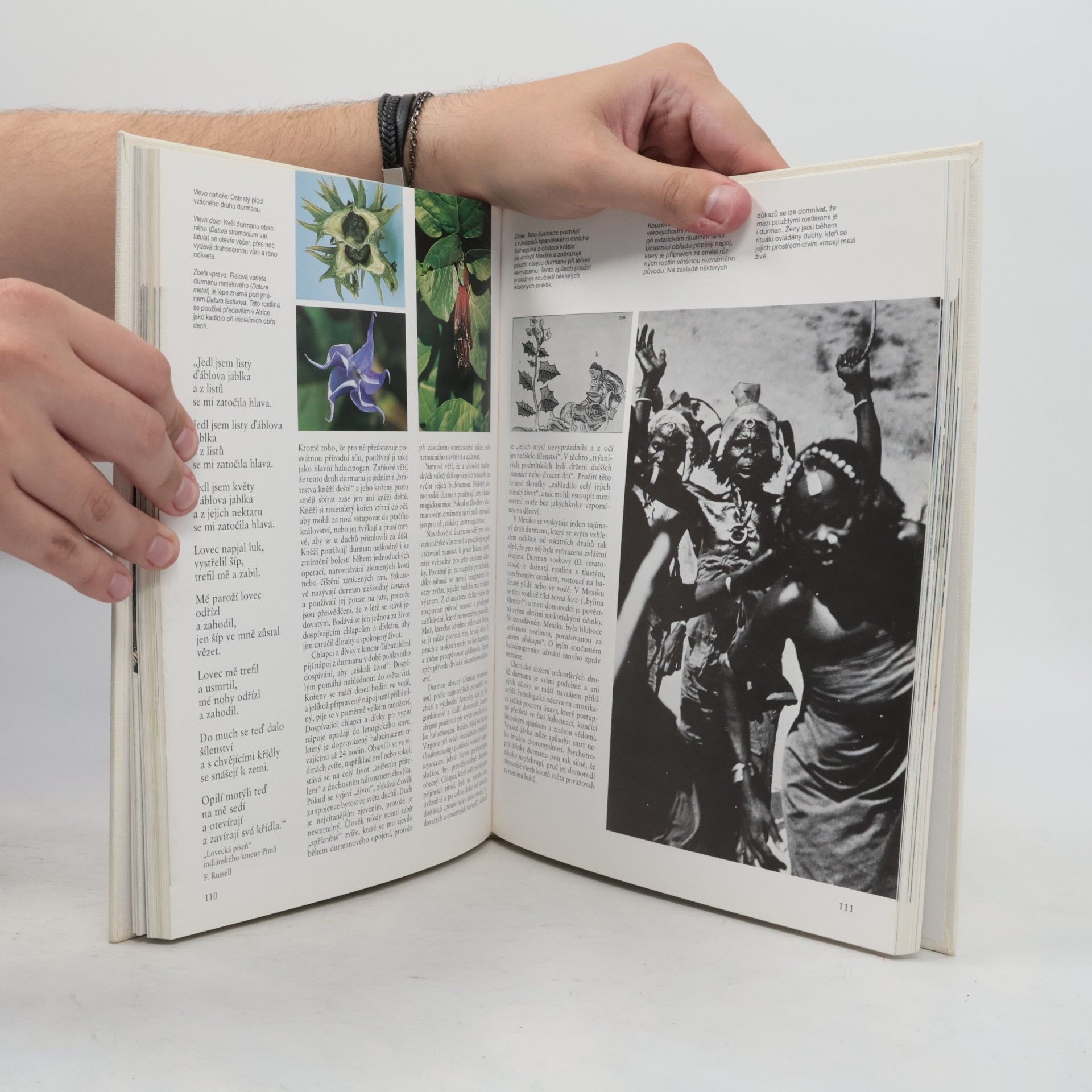 Richard Evans Schultes Rostliny bohů. Magická síla psychoaktivních rostlin