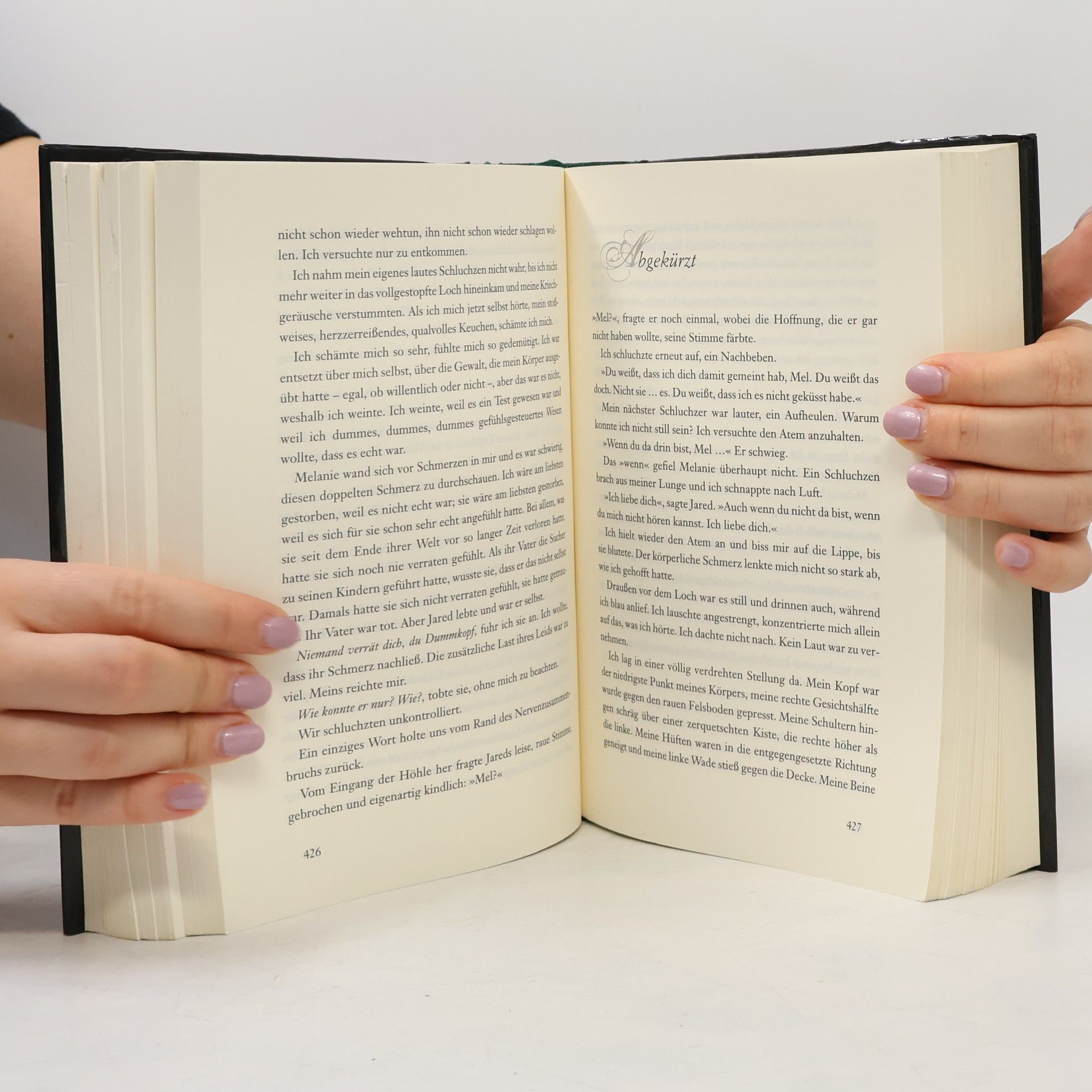 Stephenie Meyer Seelen