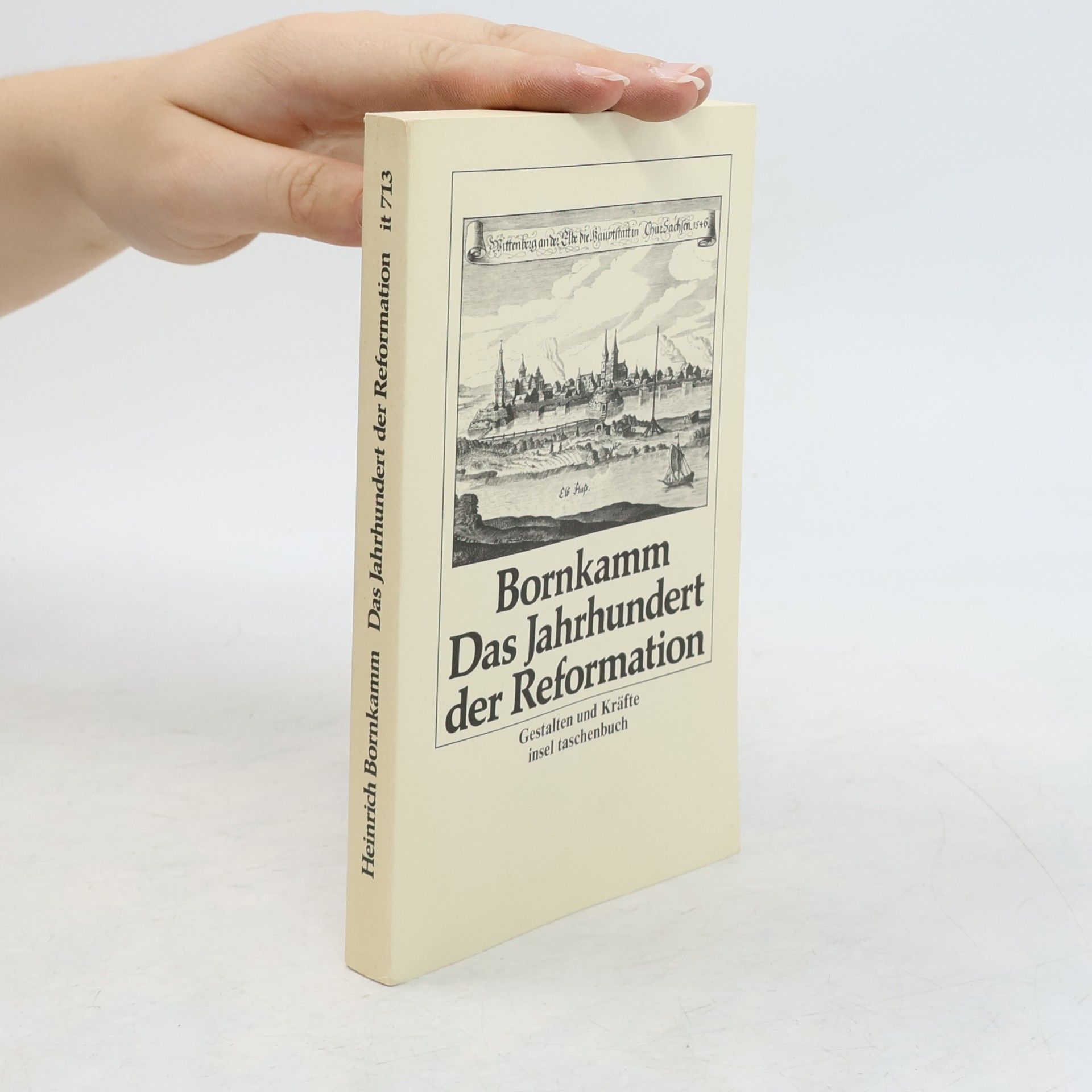 Heinrich Bornkamm Das Jahrhundert der Reformation