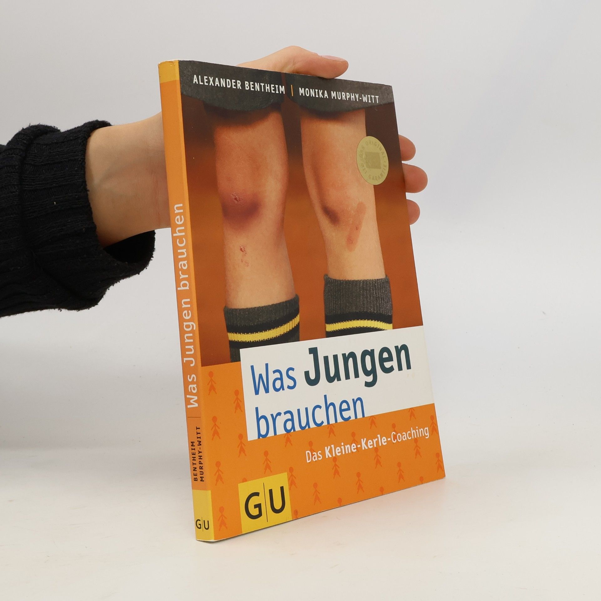 Alexander Bentheim Was Jungen brauchen