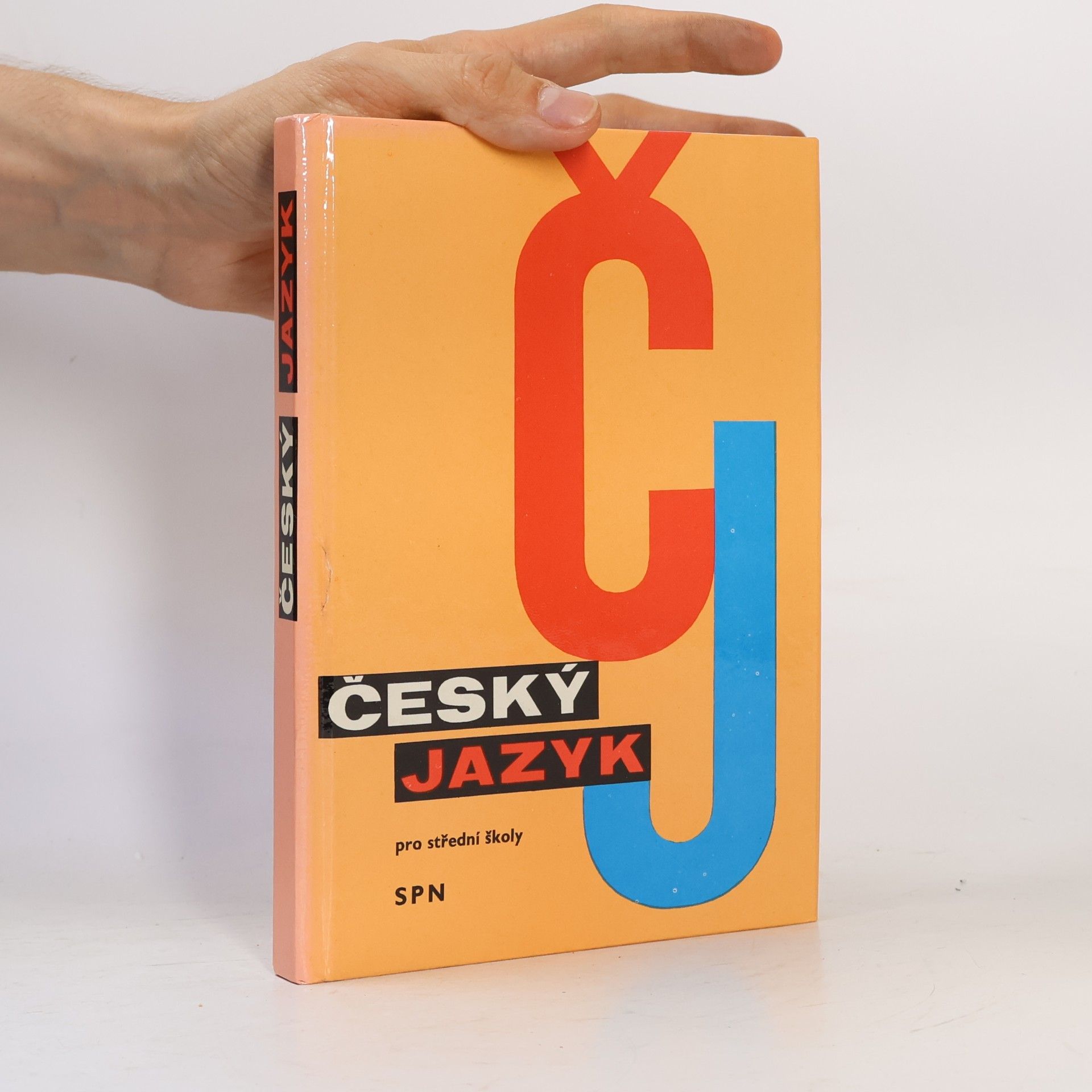 Český jazyk pro střední školy