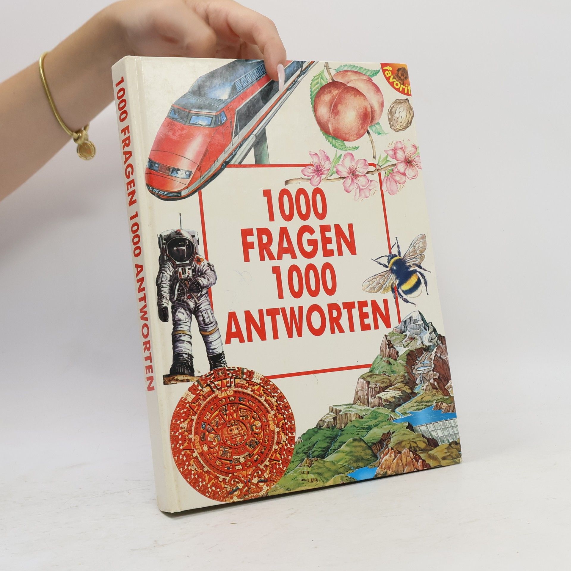 Laura Casnici 1000 Fragen, 1000 Antworten