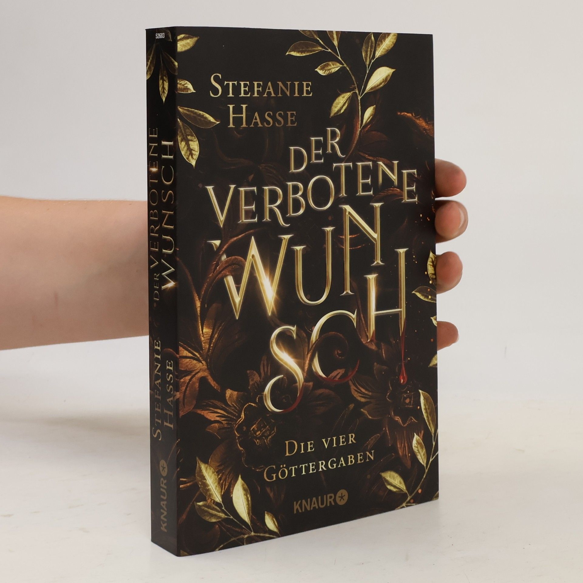 Stefanie Hasse Der verbotene Wunsch