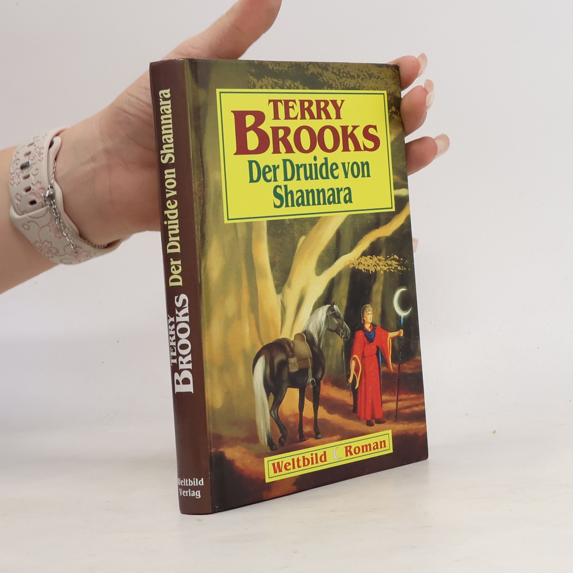 Terry Brooks Der Druide von Shannara