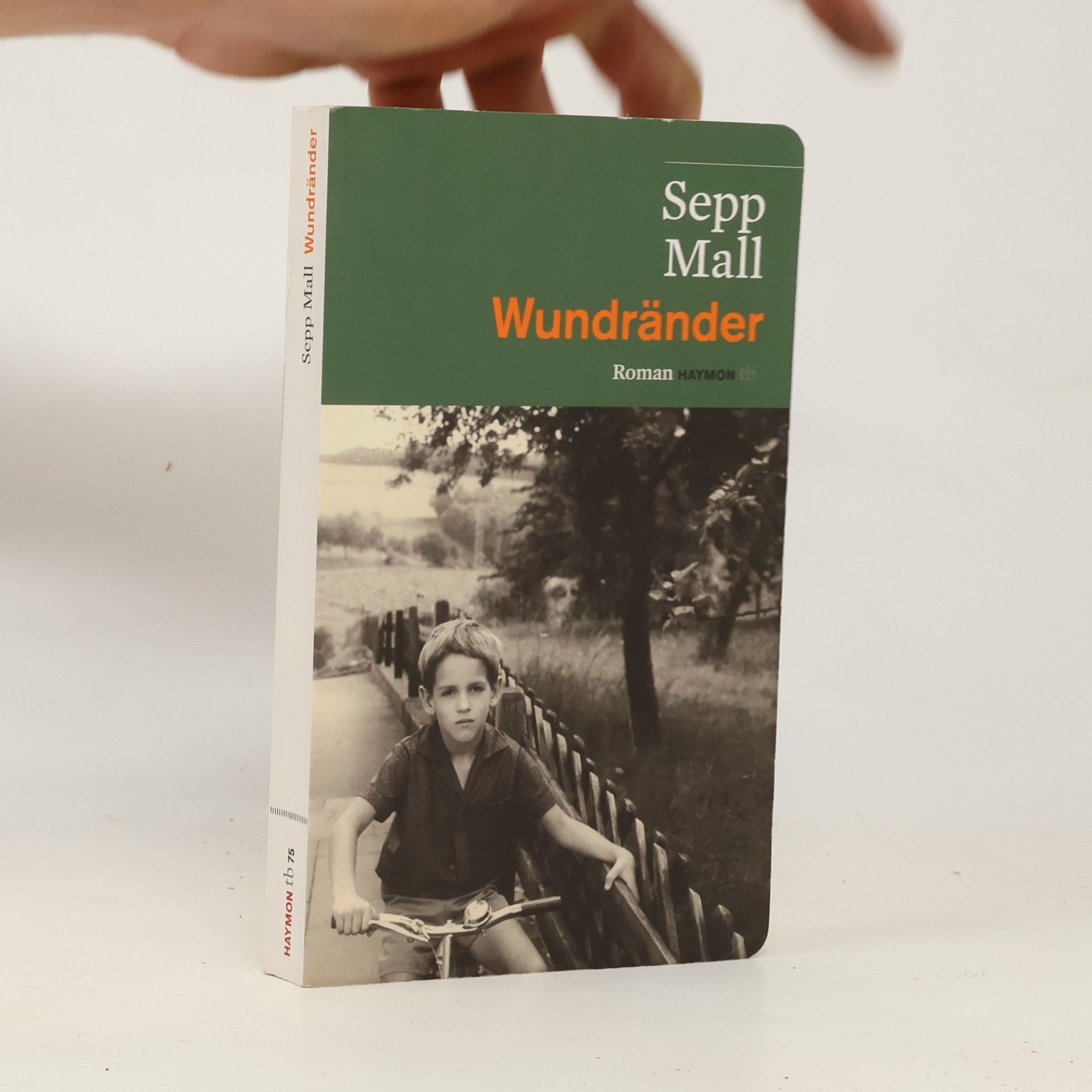 Sepp Mall Wundränder