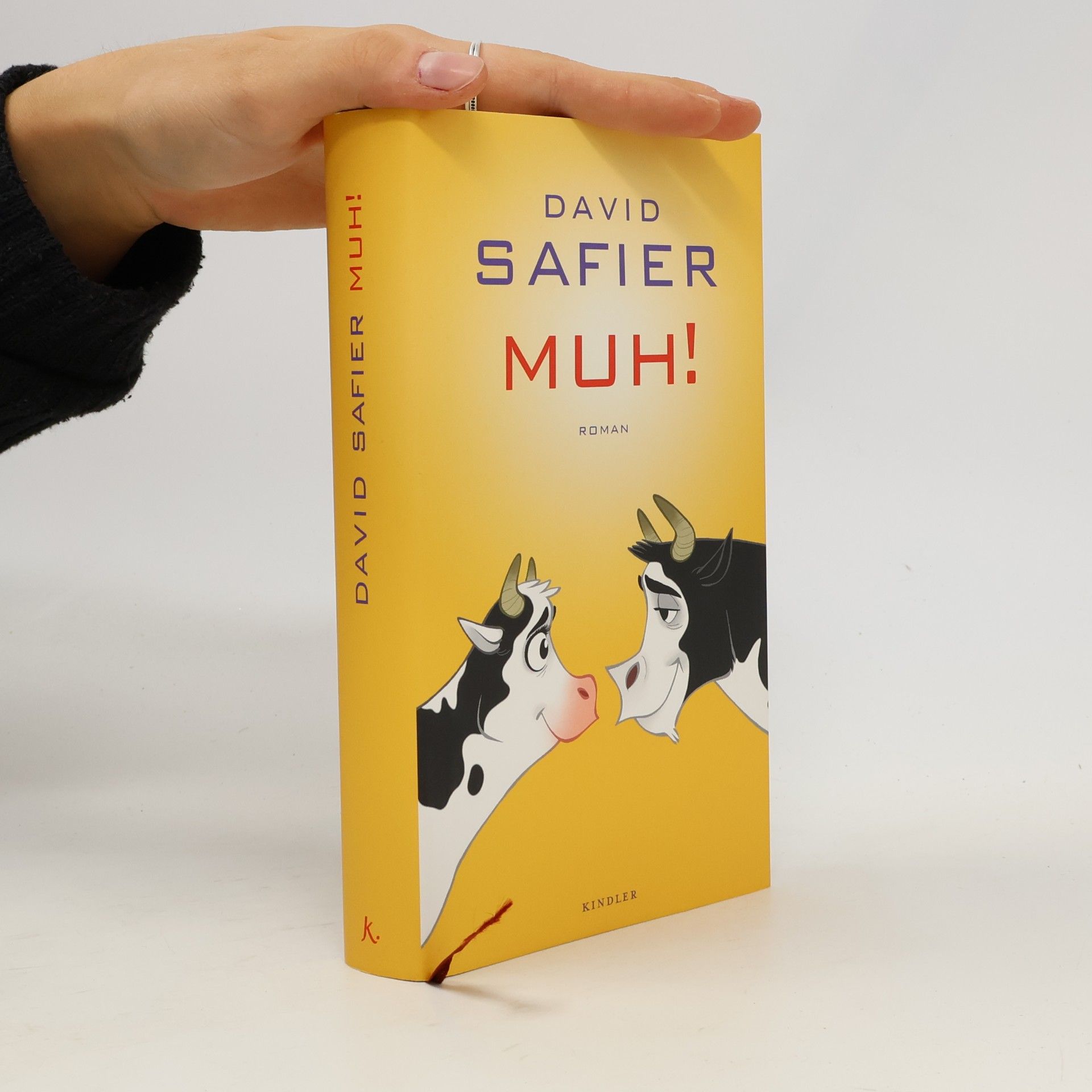 David Safier Muh!