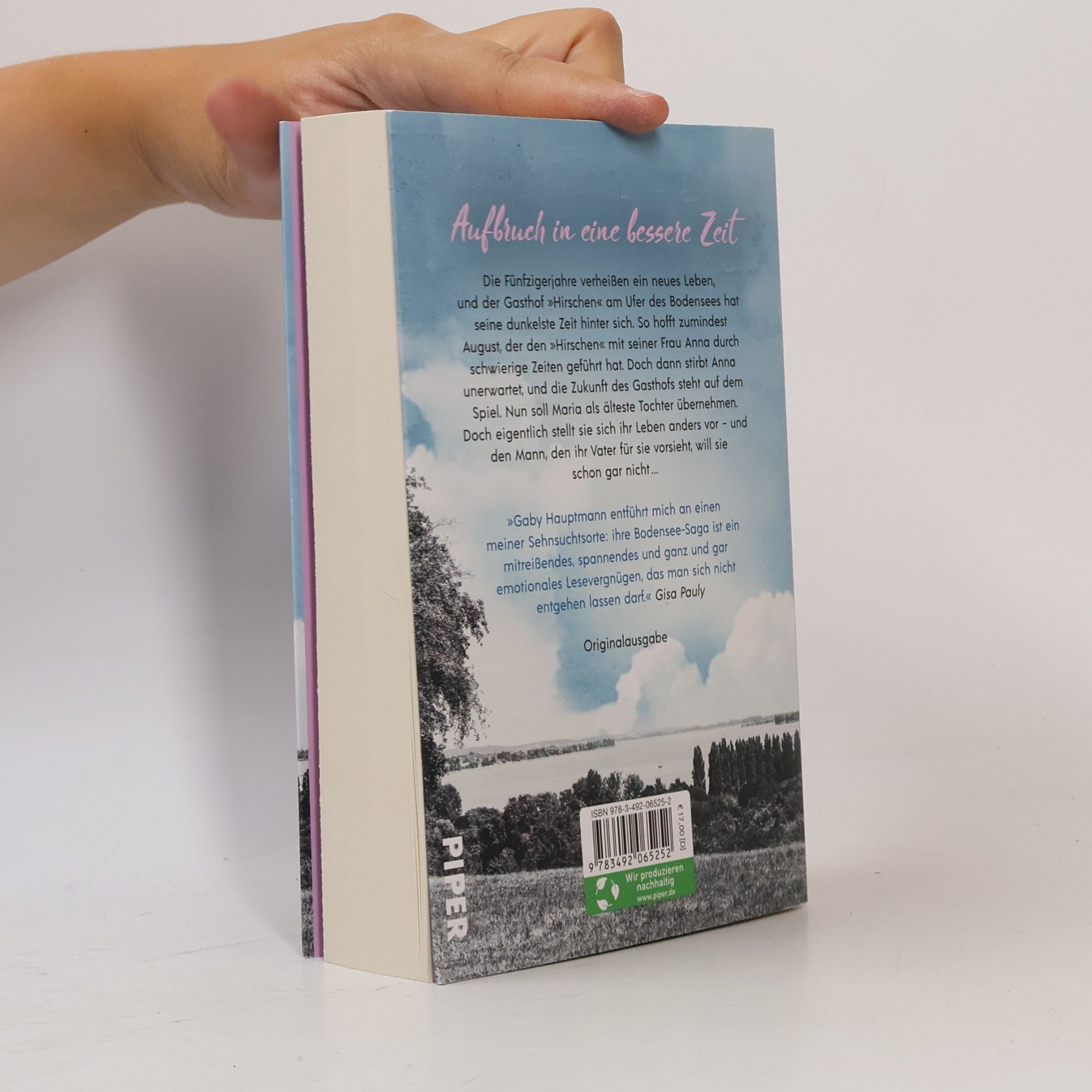 Gaby Hauptmann Traum vom besseren Leben / Die Frauen vom See Bd.2