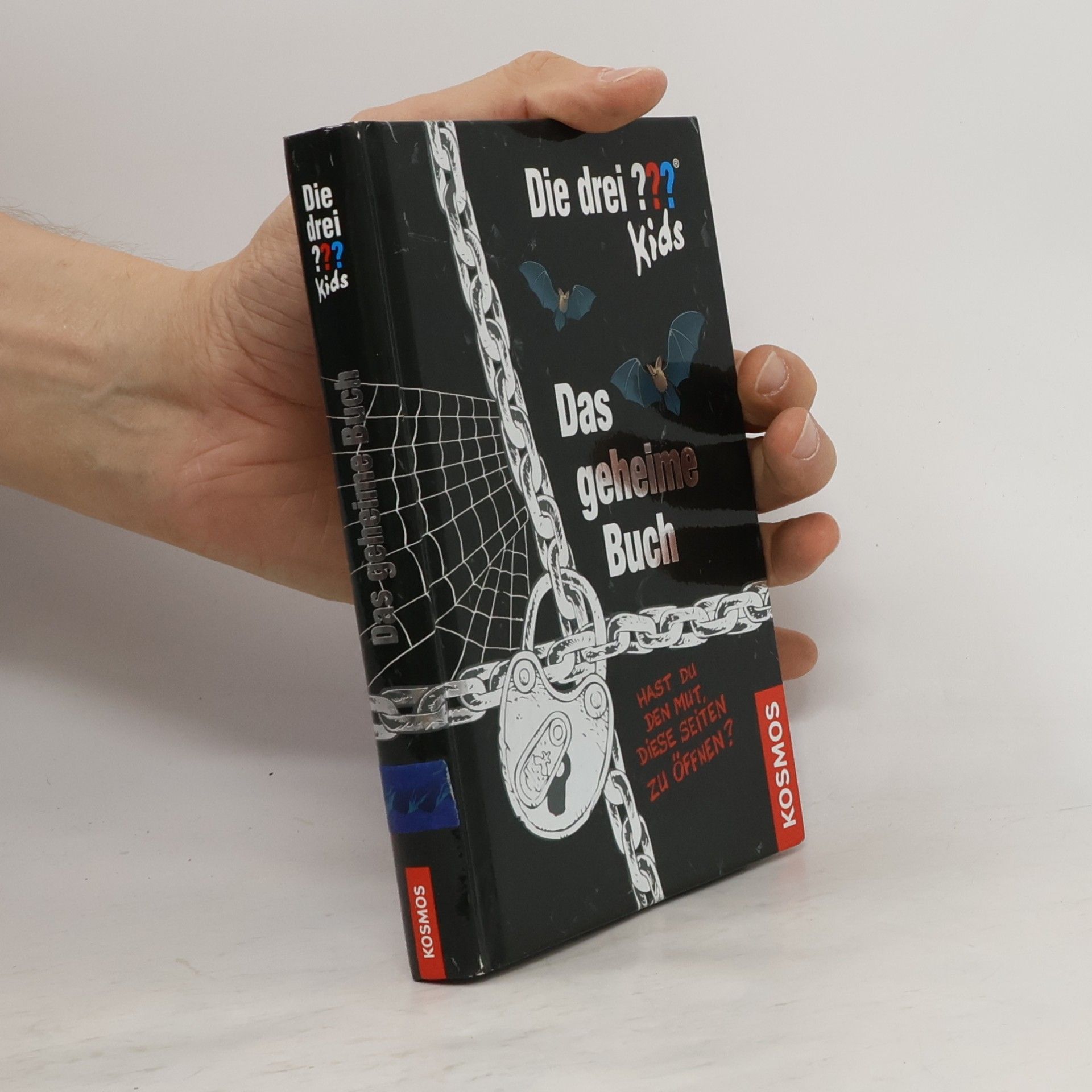 Ulf Blanck Das Geheime Buch