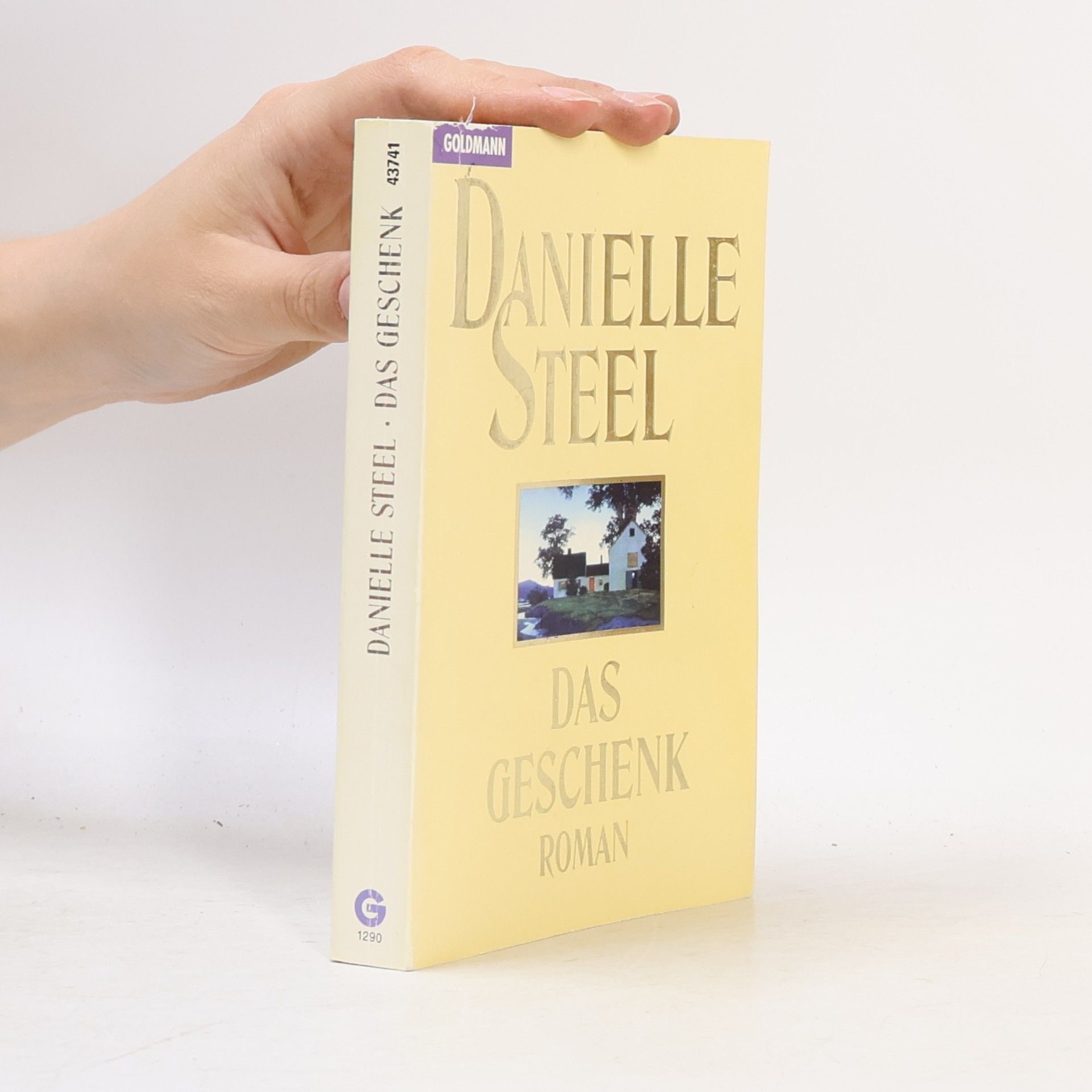 Danielle Steel Das Geschenk