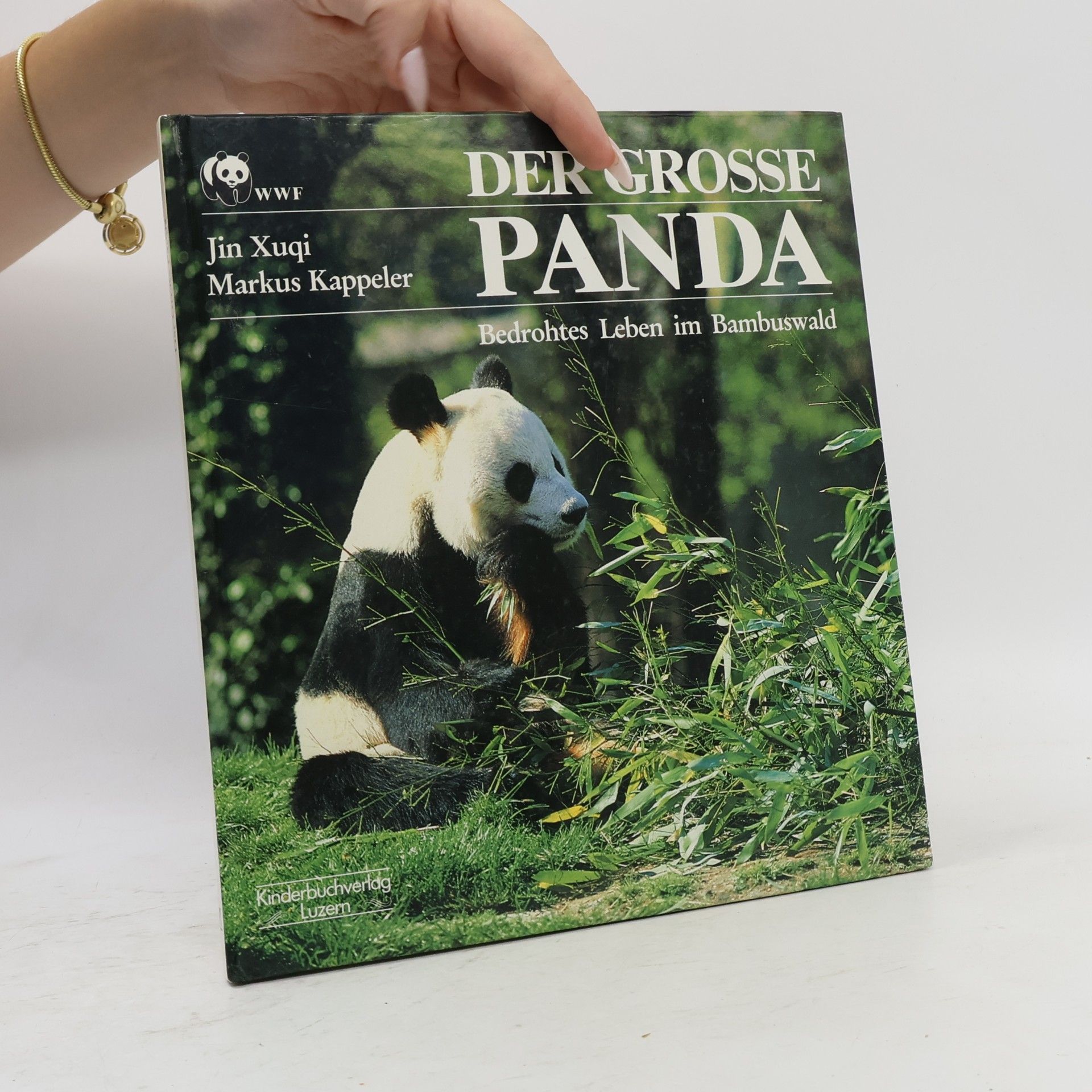 Jin Xuqi Der Grosse Panda