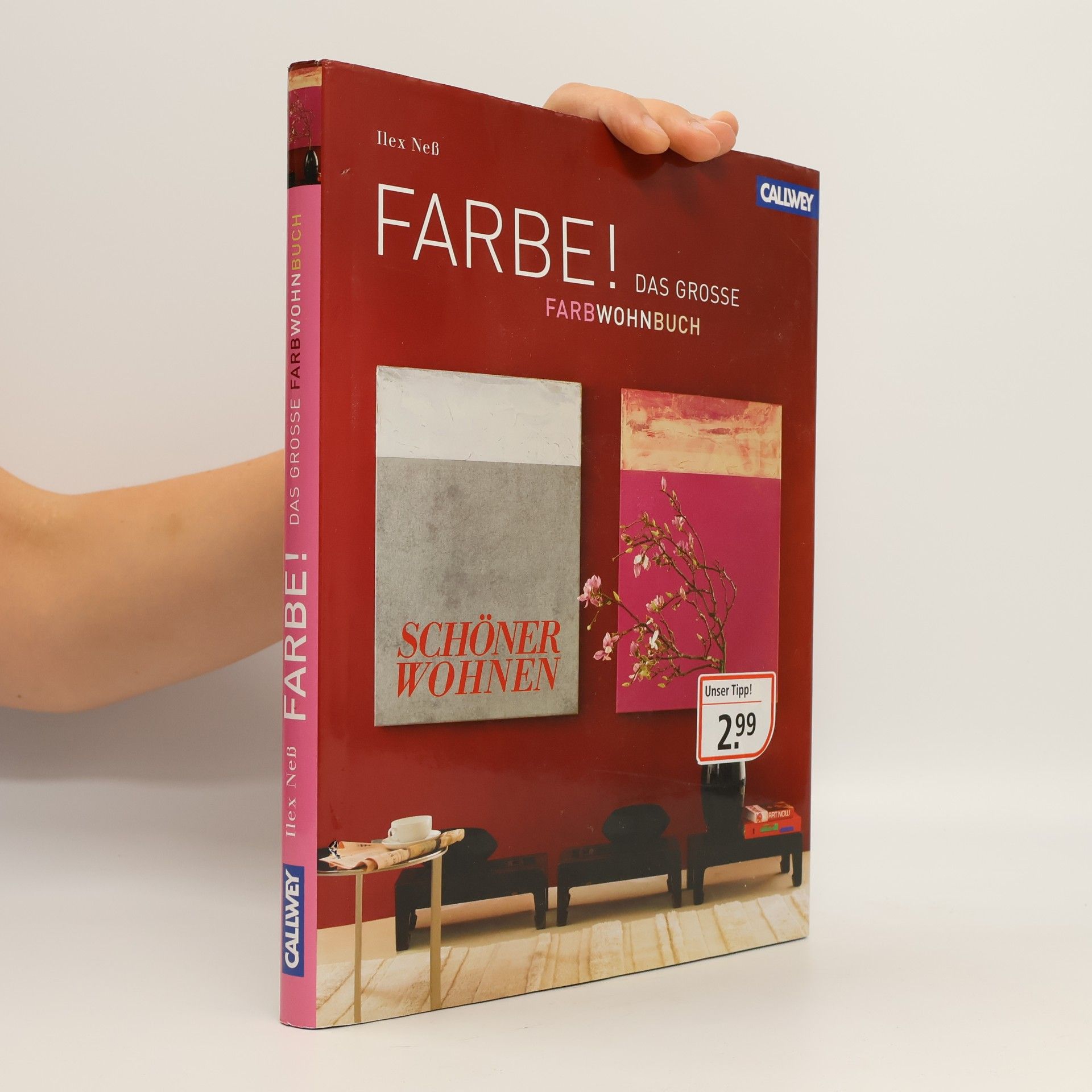 Ilex Ness Farbe!