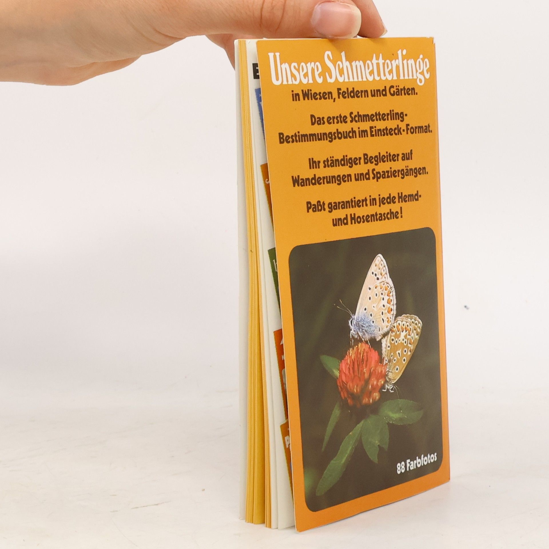 Hans Pfletschinger Pfletschingers Schmetterling-Kompass
