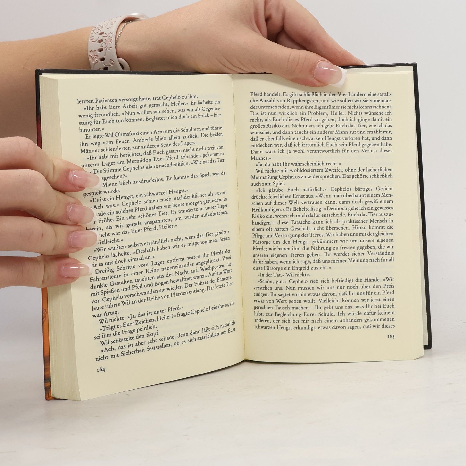 Terry Brooks Die Elfensteine von Shannara