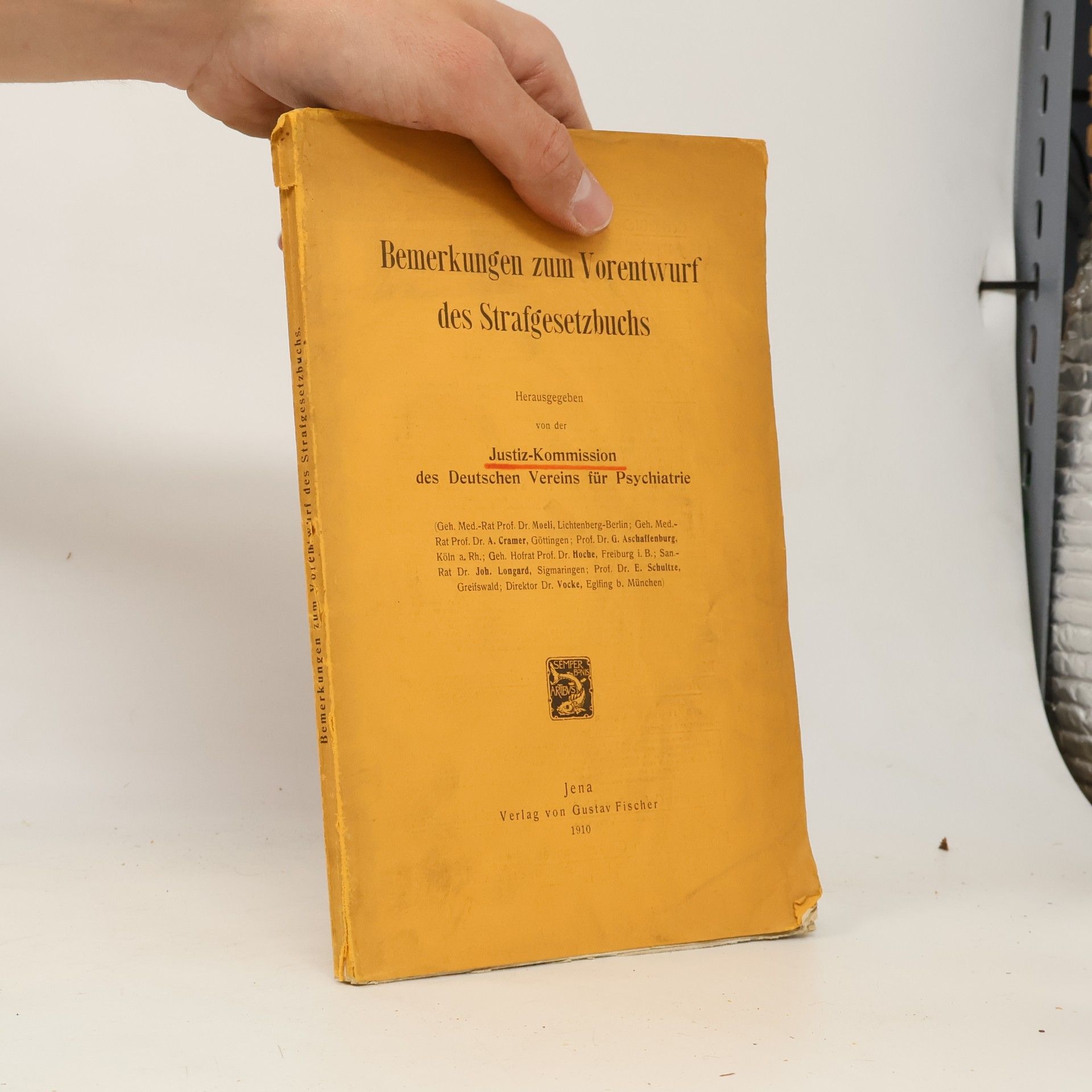 Autorenkollektiv Bemerkungen zum Vorentwurf des Strafgesetzbuchs
