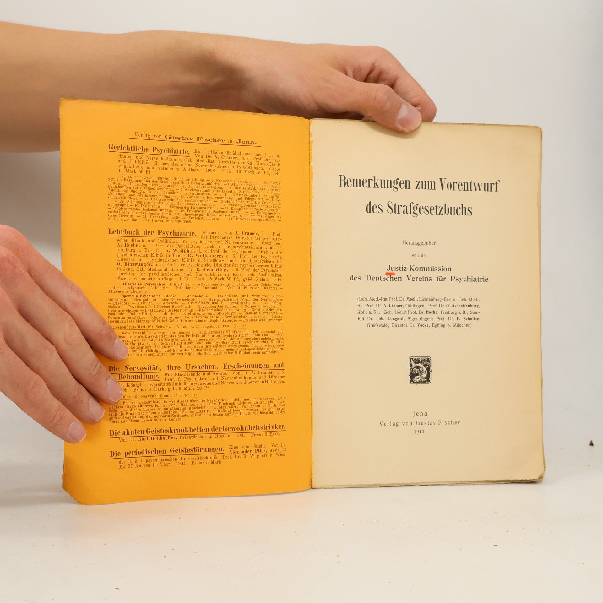 Autorenkollektiv Bemerkungen zum Vorentwurf des Strafgesetzbuchs