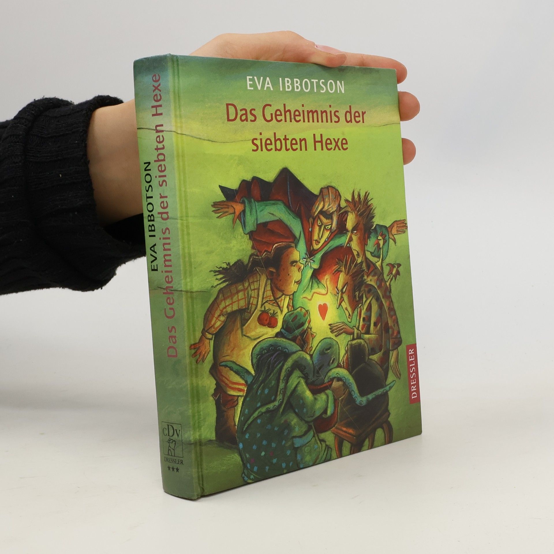 Eva Ibbotson Das Geheimnis der siebten Hexe