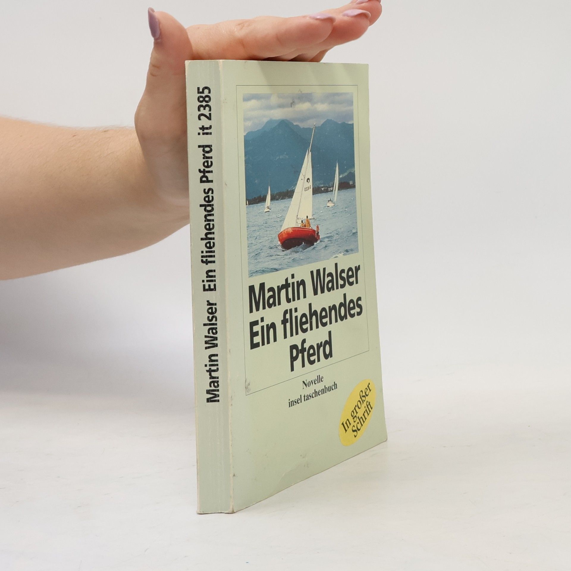 Martin Walser Insel Taschenbuch - 2385: Ein fliehendes Pferd