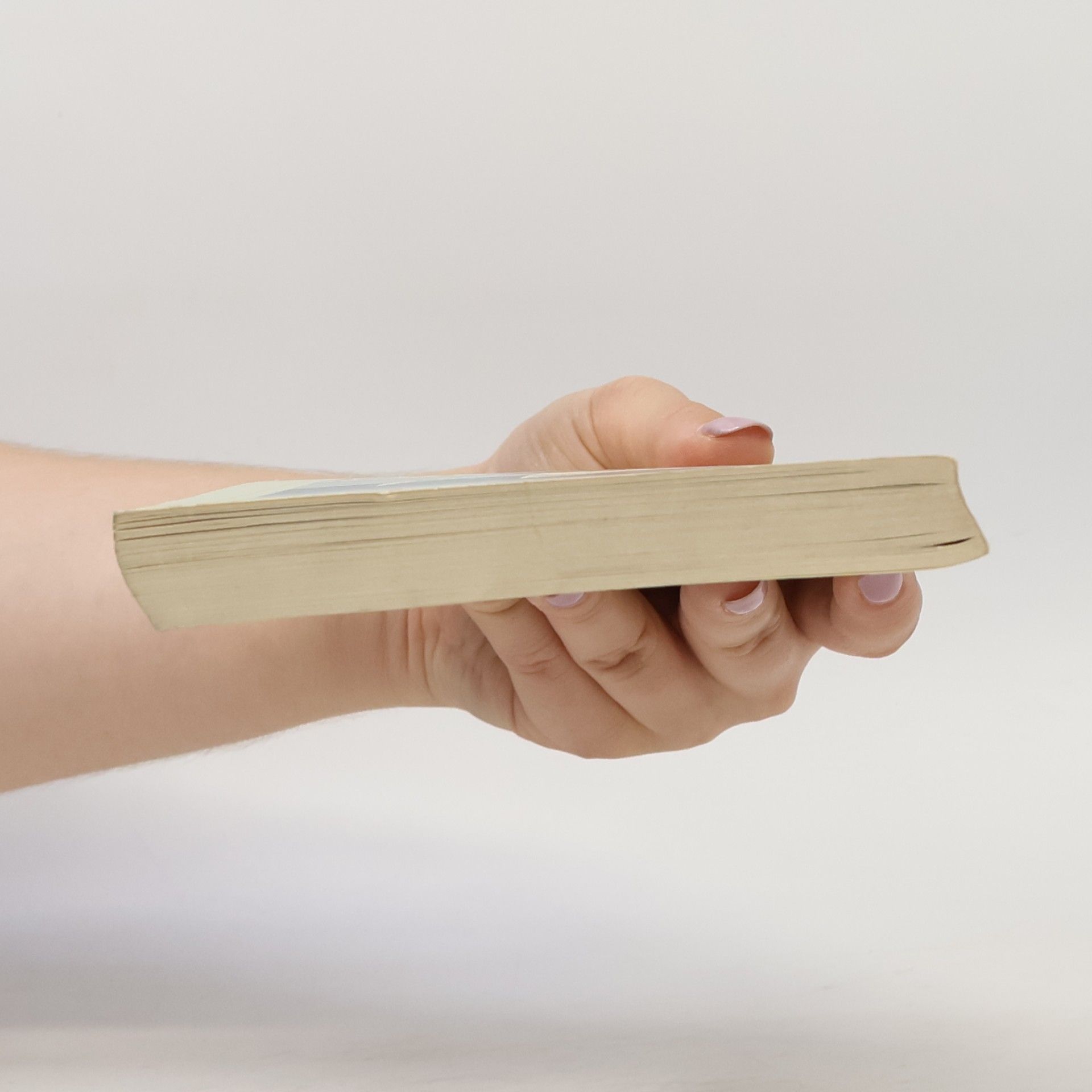 Martin Walser Insel Taschenbuch - 2385: Ein fliehendes Pferd