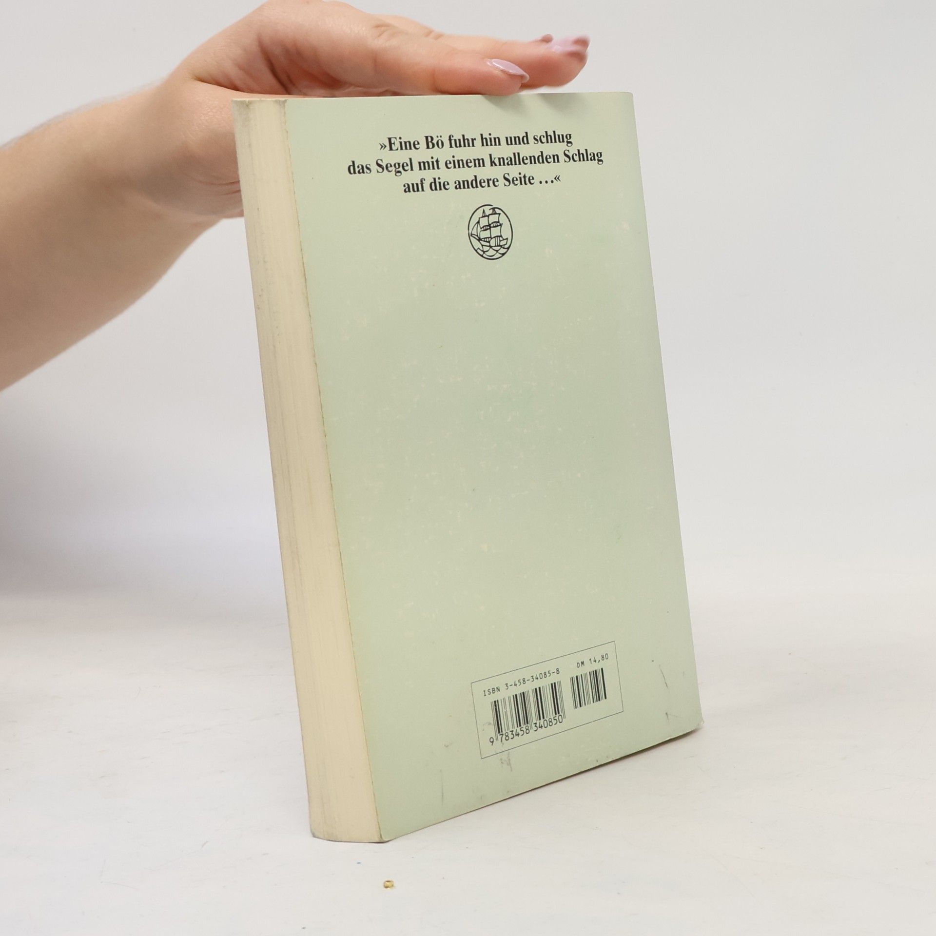 Martin Walser Insel Taschenbuch - 2385: Ein fliehendes Pferd