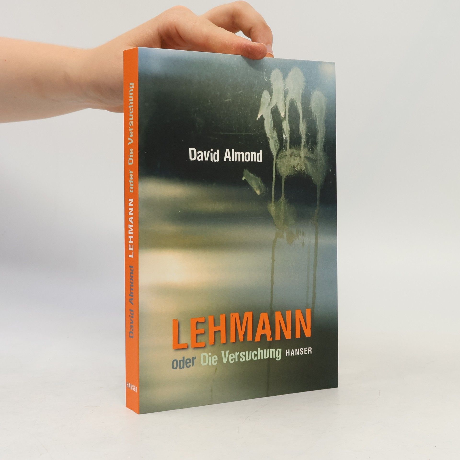 David Almond Lehmann oder die Versuchung