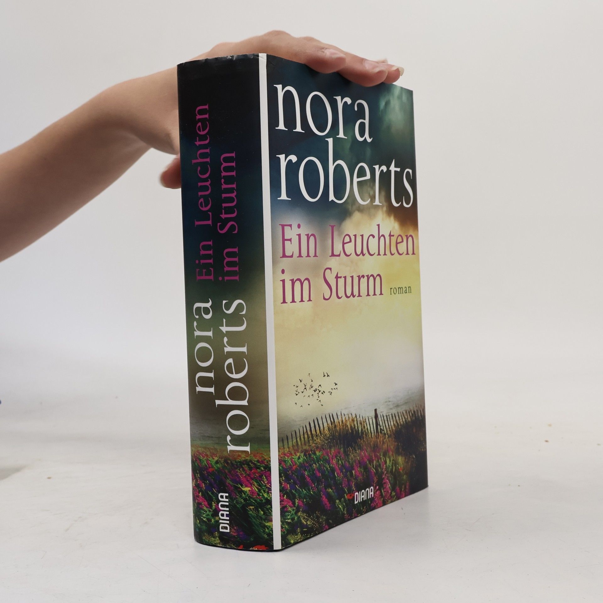 Nora Roberts Ein Leuchten im Sturm
