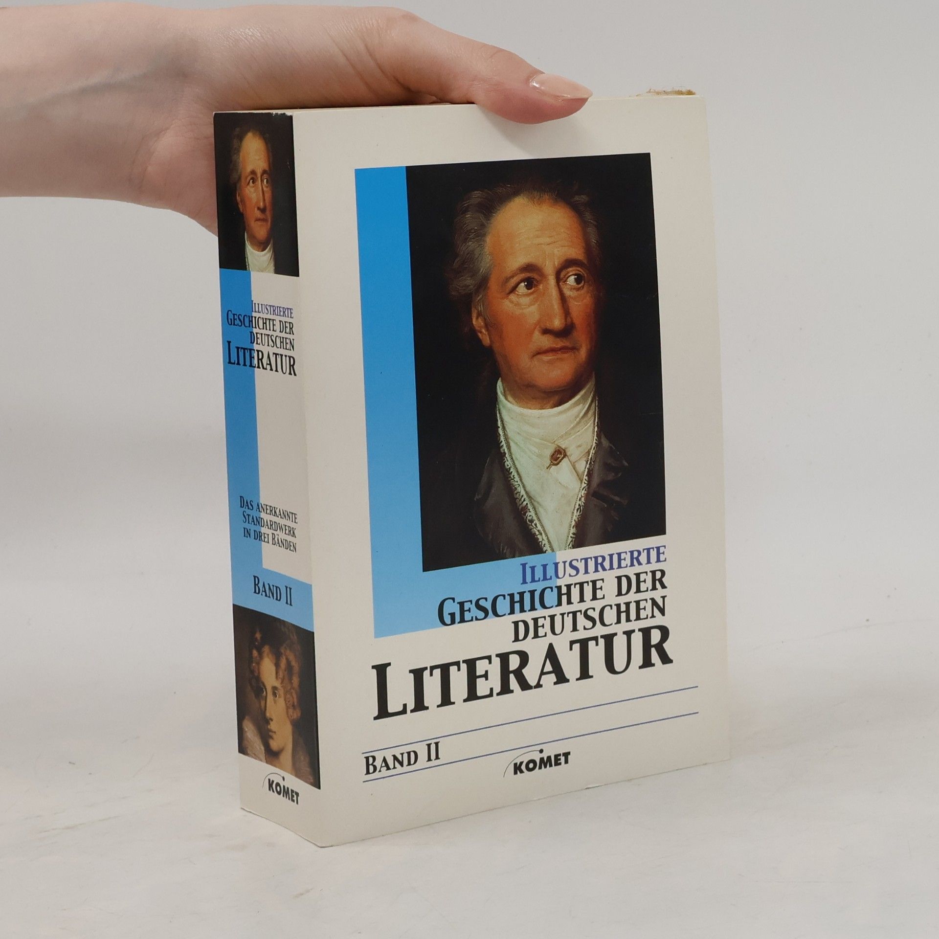 Anselm Salzer Illustrierte Geschichte der deutschen Literatur Band 2