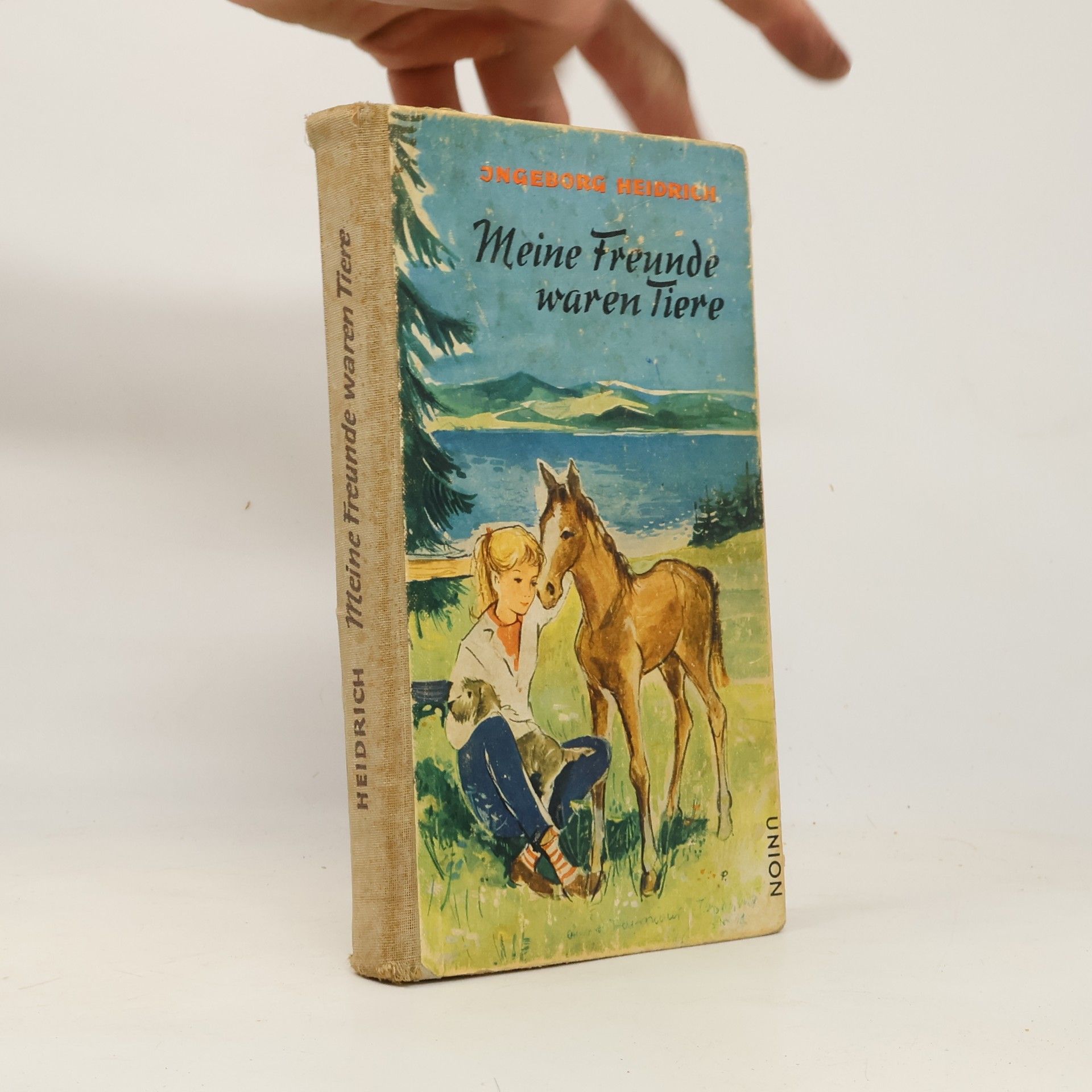 Heindrich Jngenborg Meine Freunde waren Tiere
