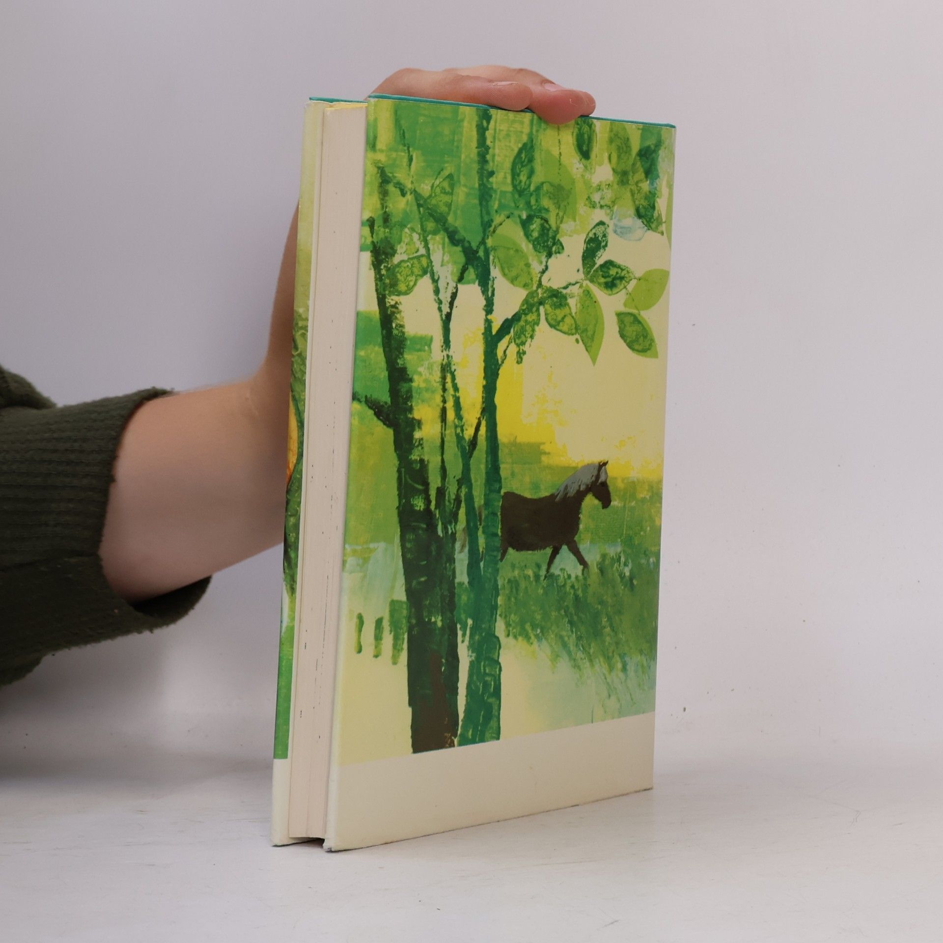 Lise Gast Ein Sommer mit Tieren