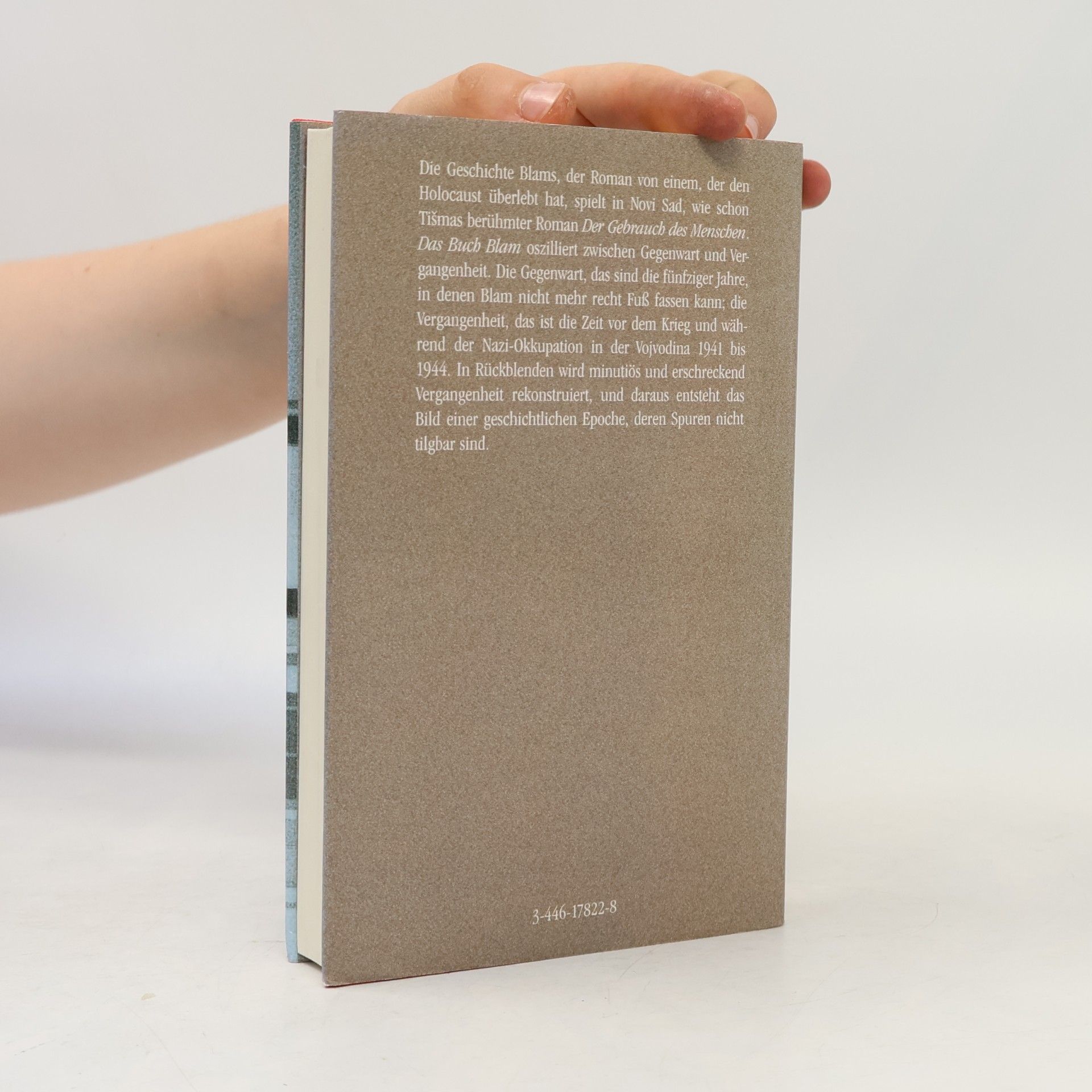 Aleksandar Tišma Das Buch Blam