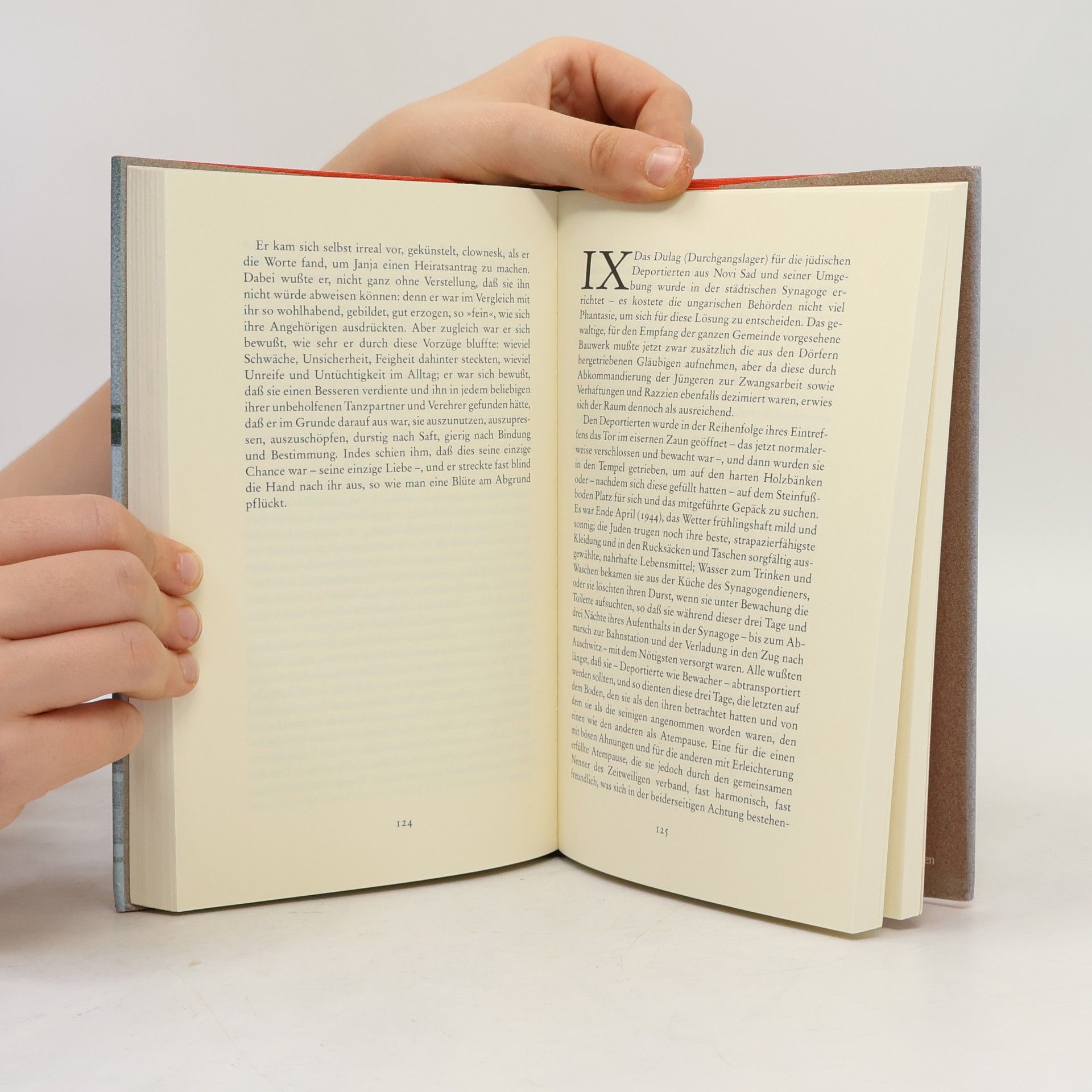 Aleksandar Tišma Das Buch Blam