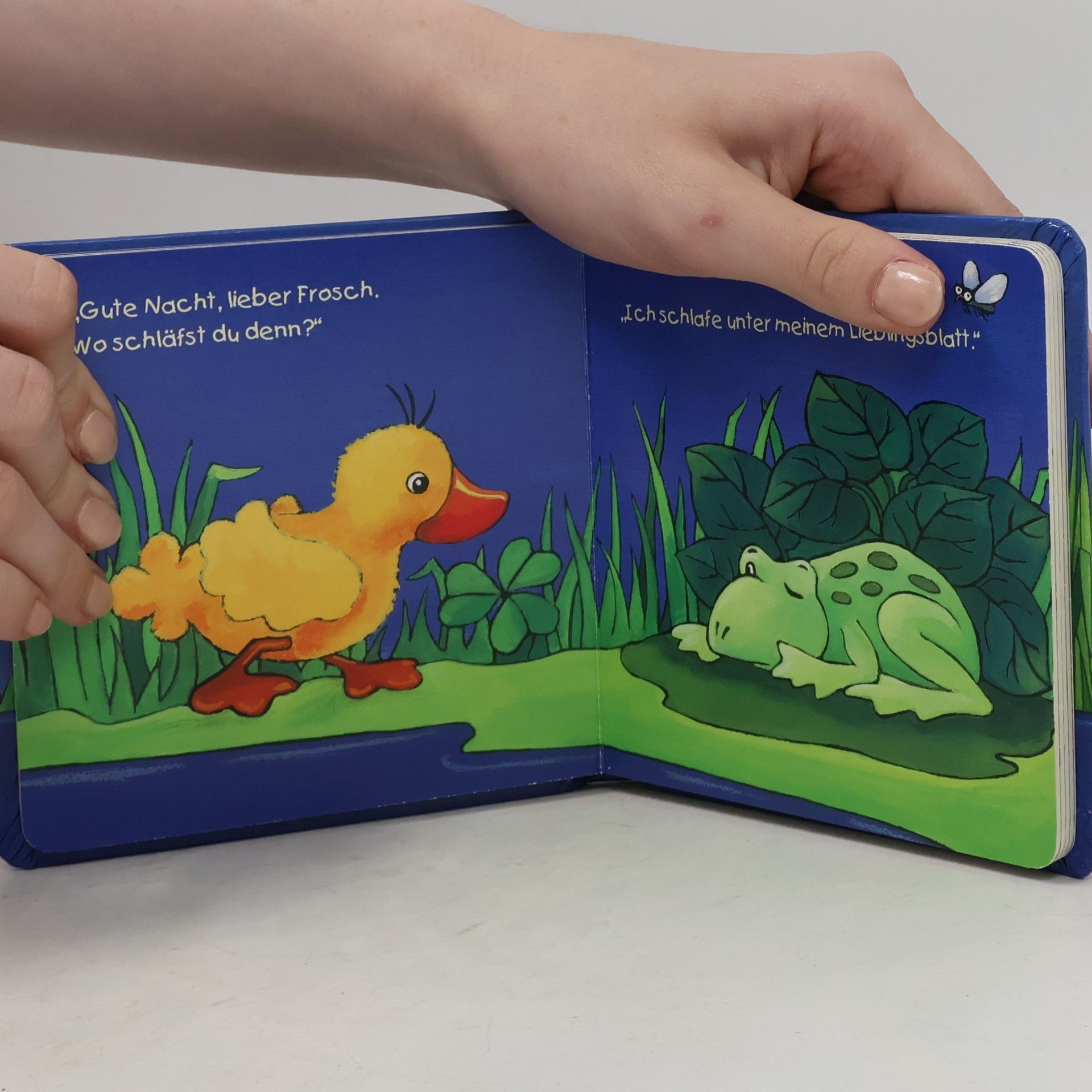 Schlaf gut, kleine Ente Nelli: (Verkaufseinheit) (Bücher für die Kleinsten)