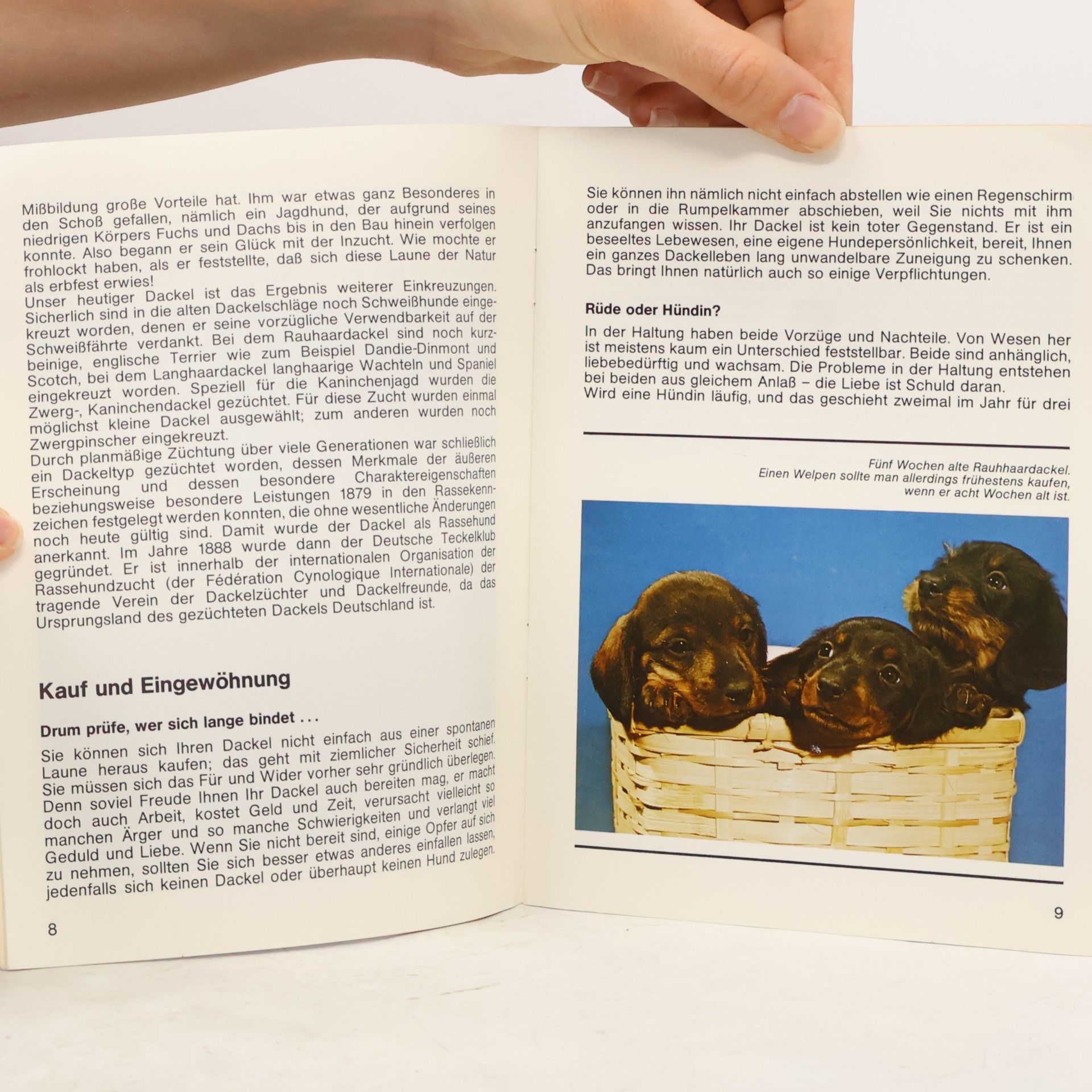 Various authors Dein Dackel