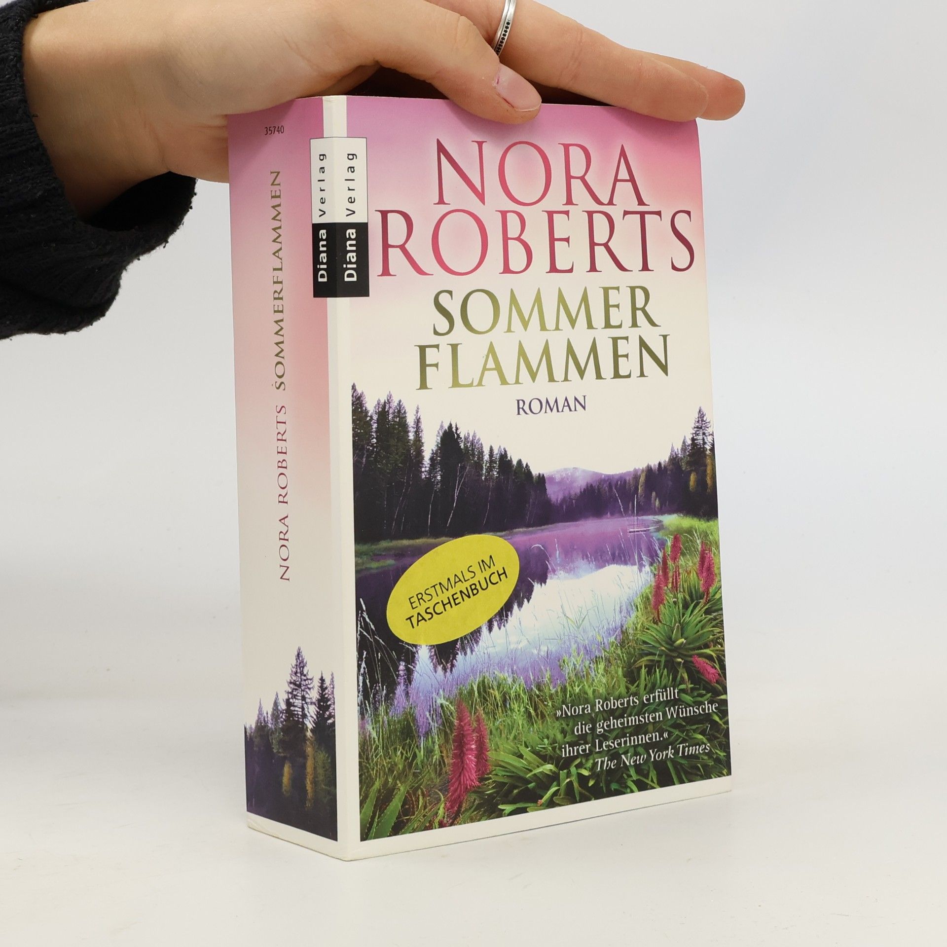 Nora Roberts Sommer Flammen