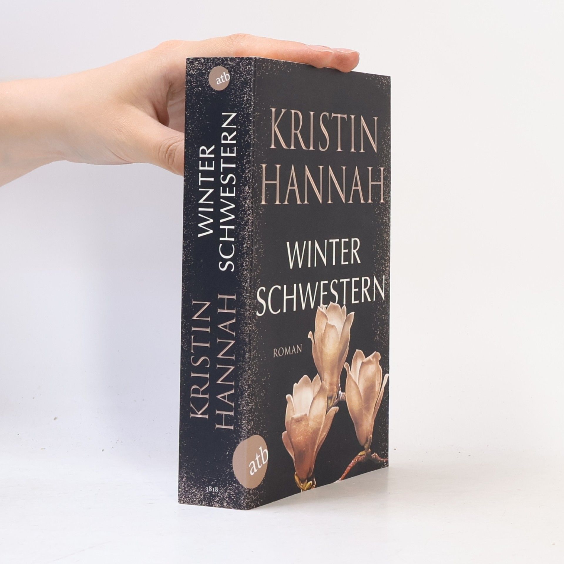 Kristin Hannah Winterschwestern