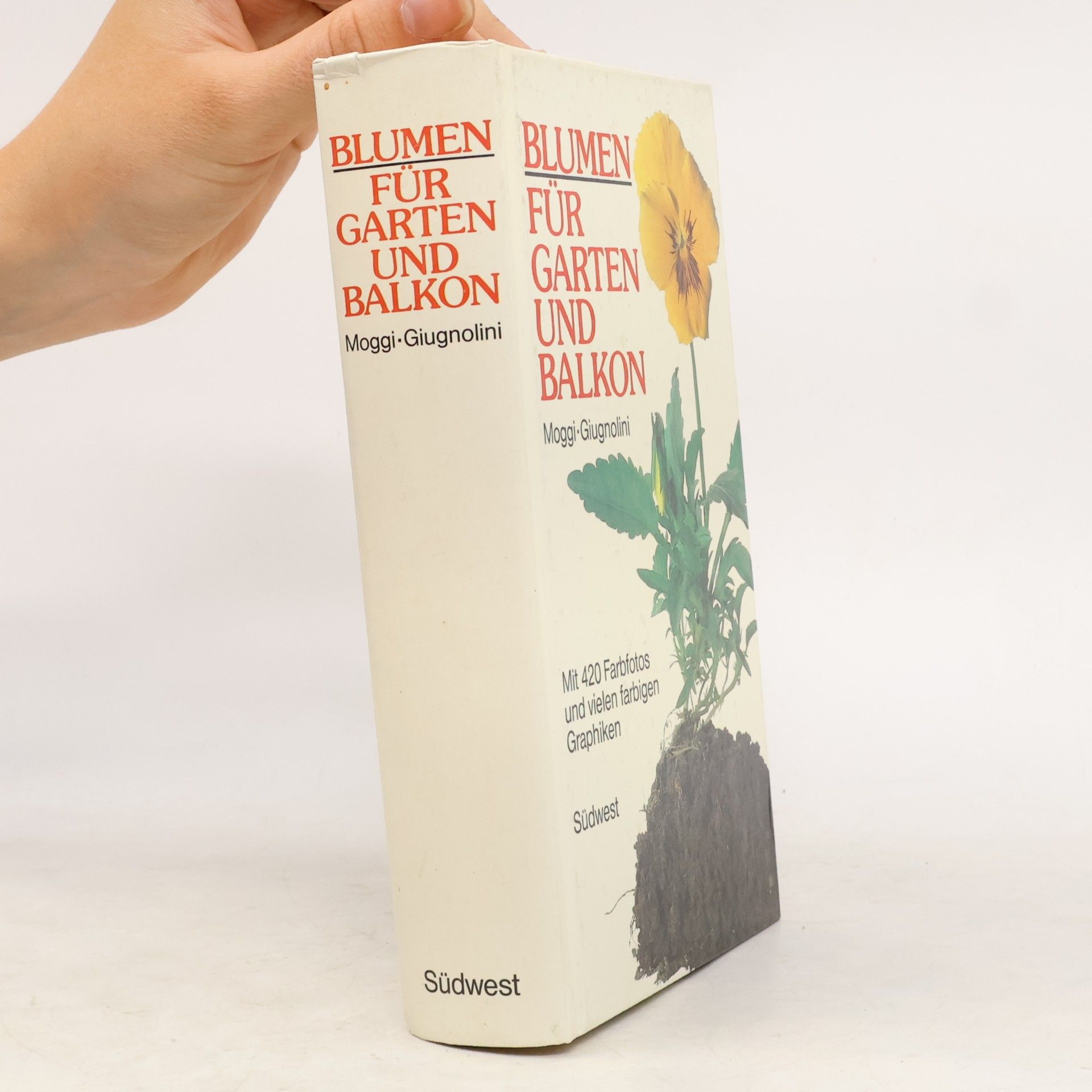 Der grosse Blumen-Ratgeber für Garten und Balkon