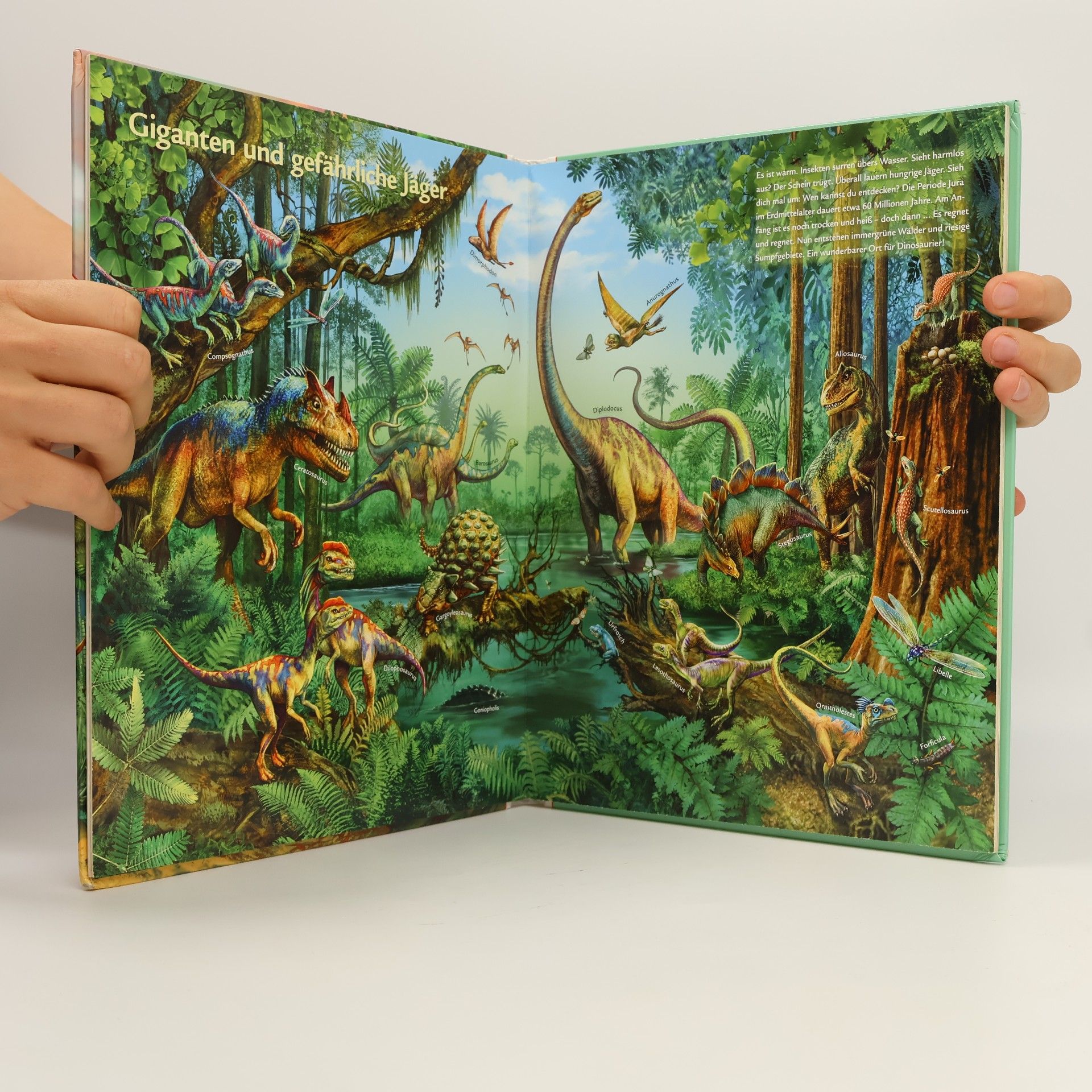 Annett Stütze LeYo! Dinosaurier