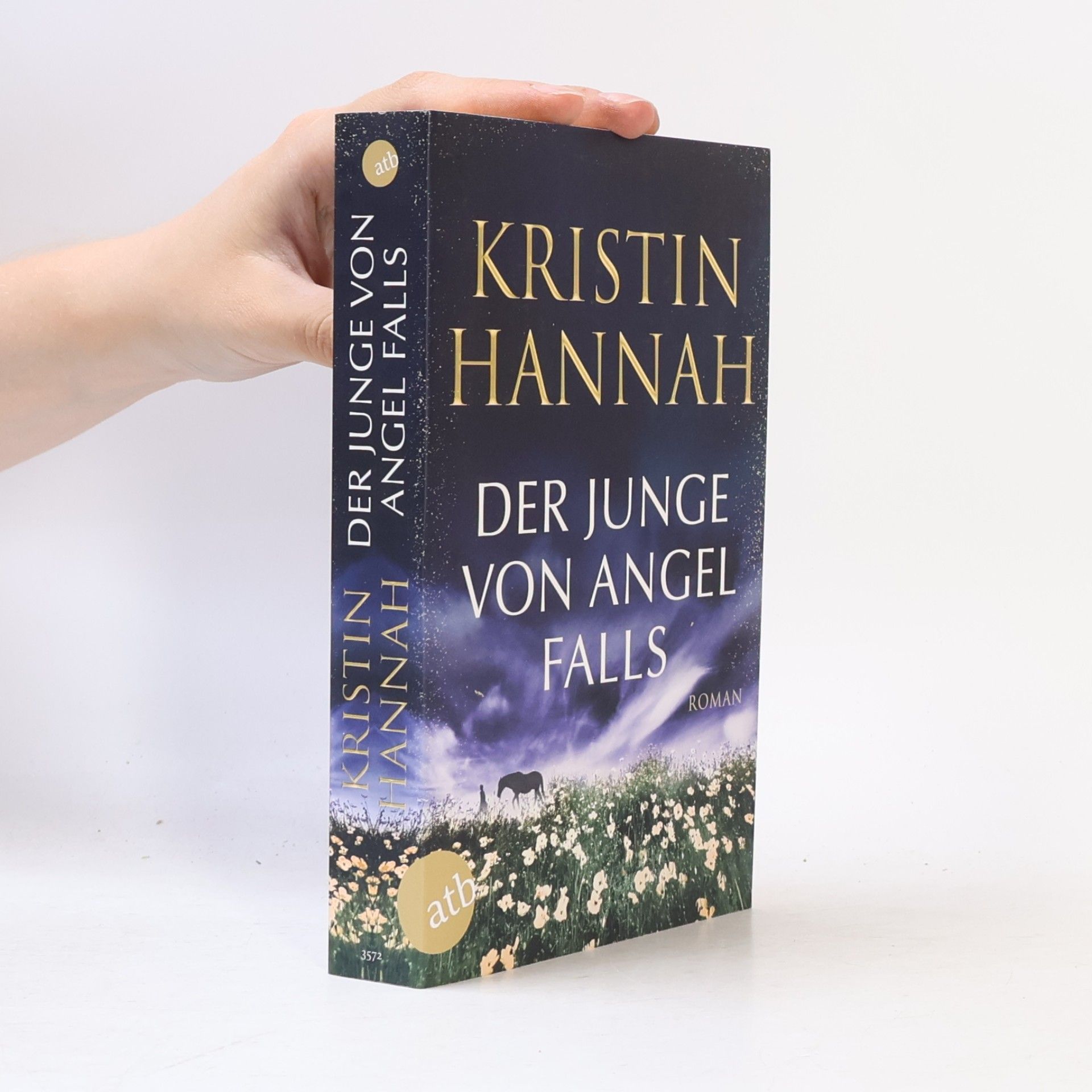Kristin Hannah Der Junge von Angel Falls