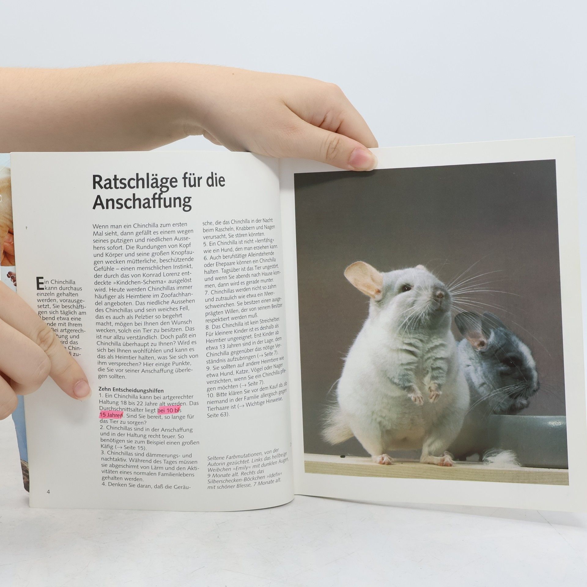 Maike RöderThiede Chinchillas als Heimtiere - richtig pflegen und verstehen