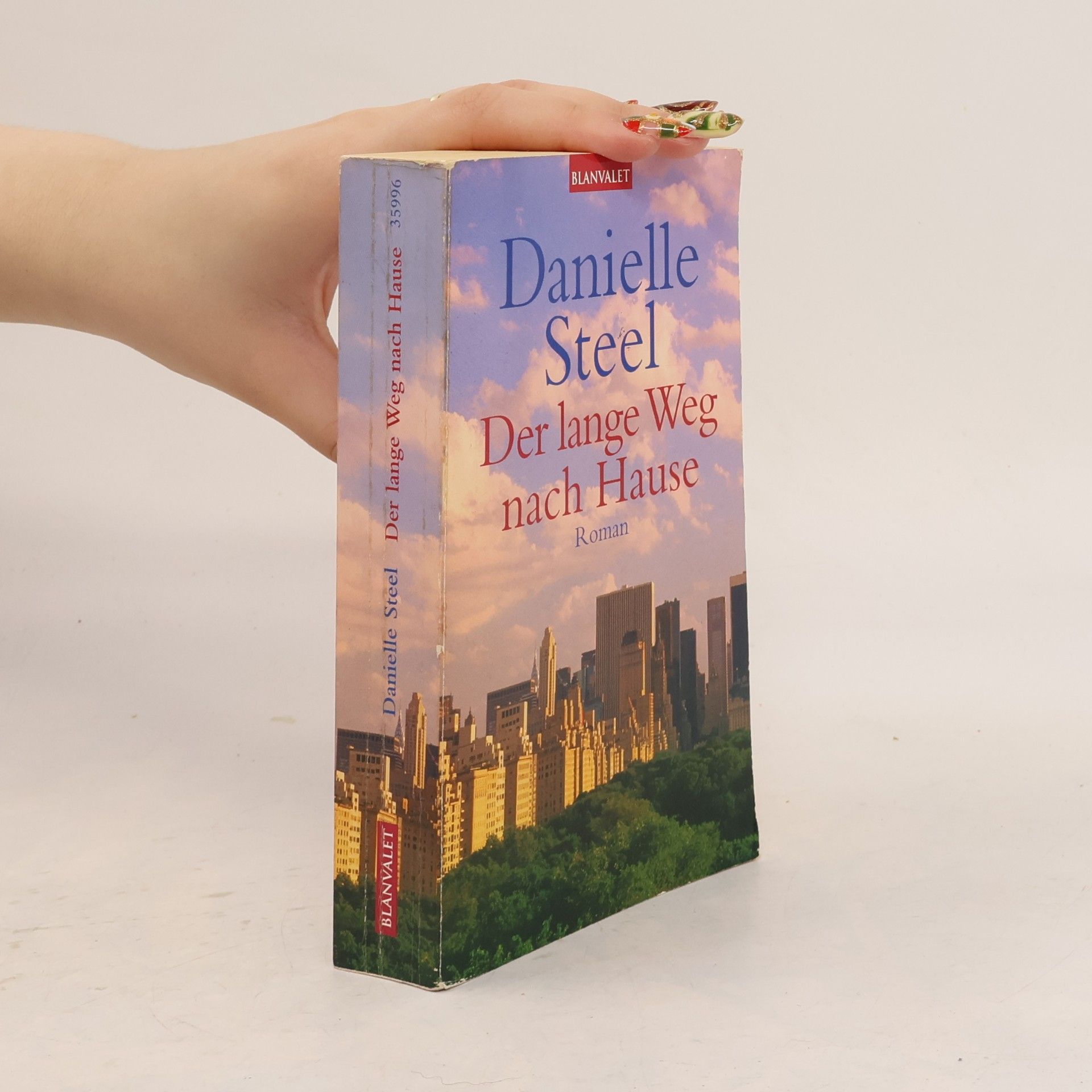 Danielle Steel Der lange Weg nach Hause