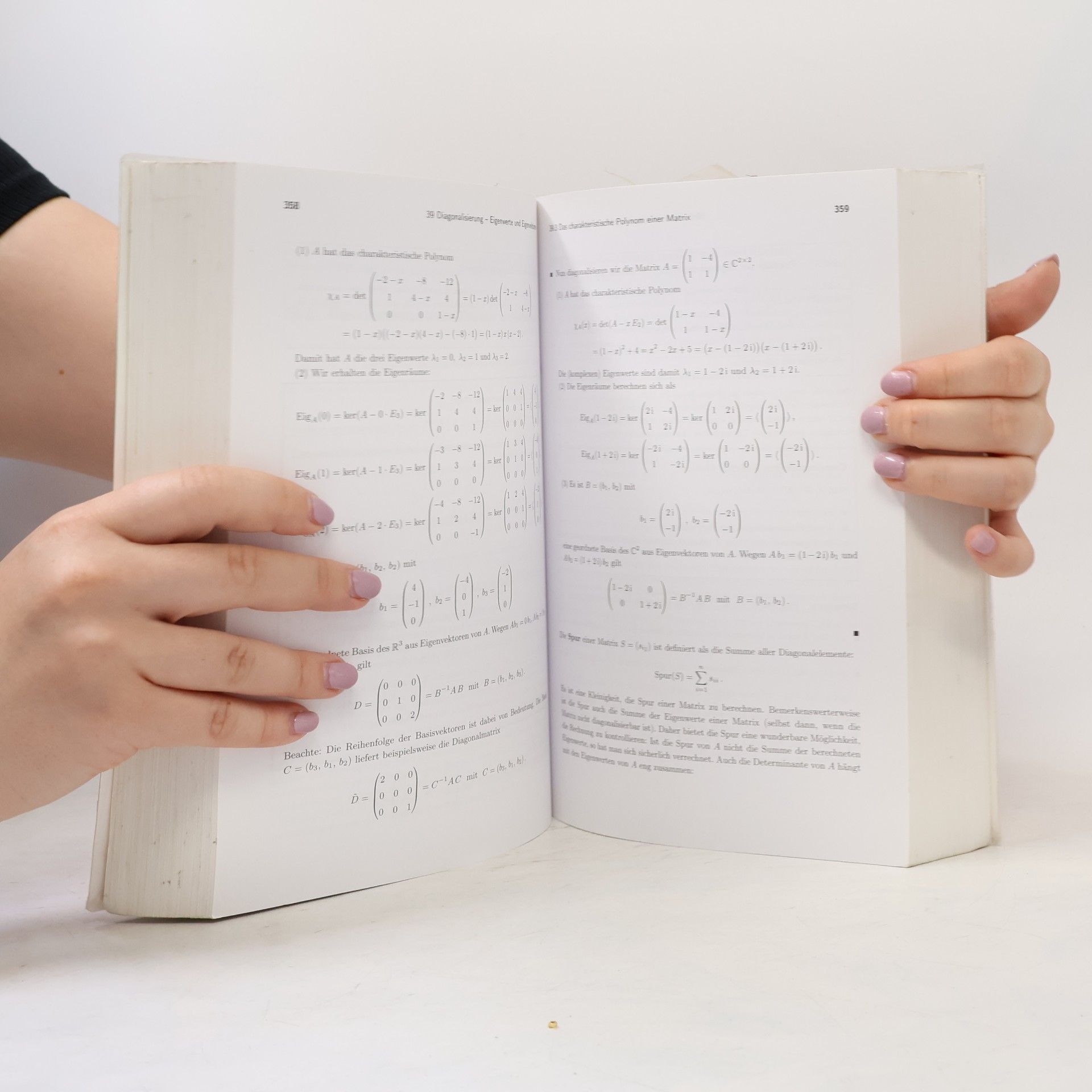 Christian Karpfinger Höhere Mathematik in Rezepten