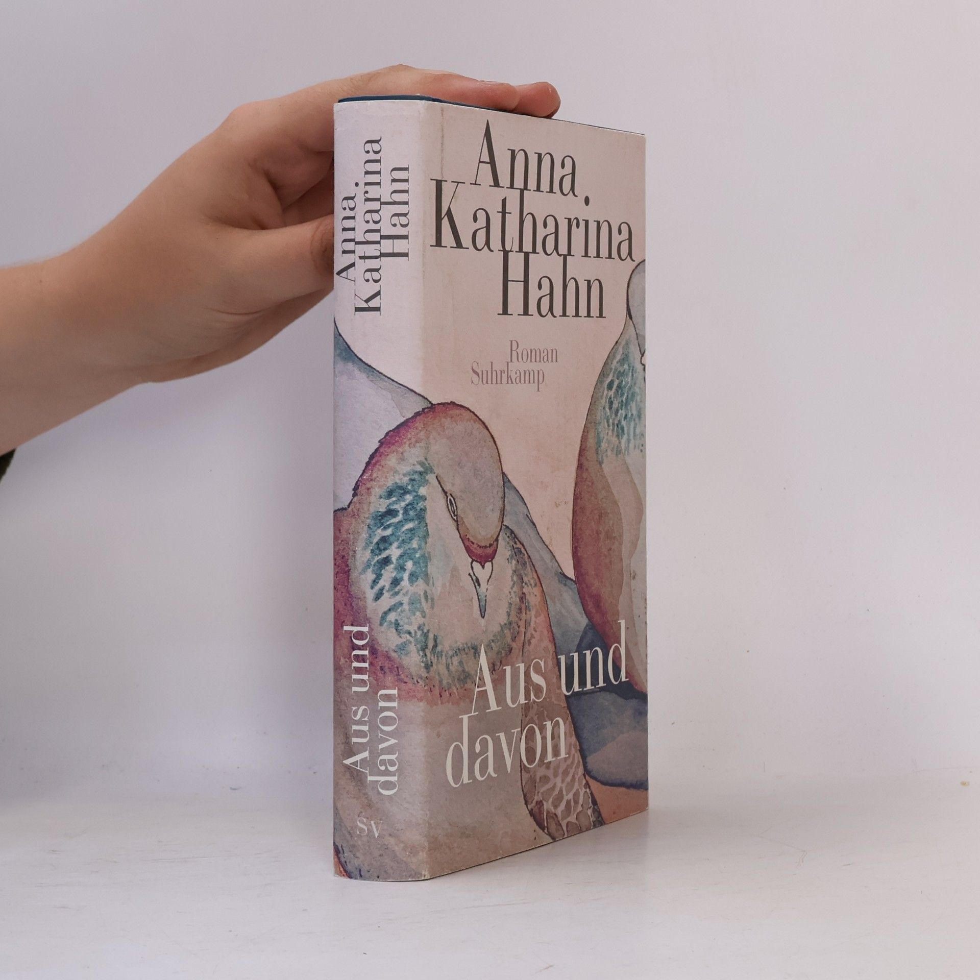 Anna Katharina Hahn Aus und davon