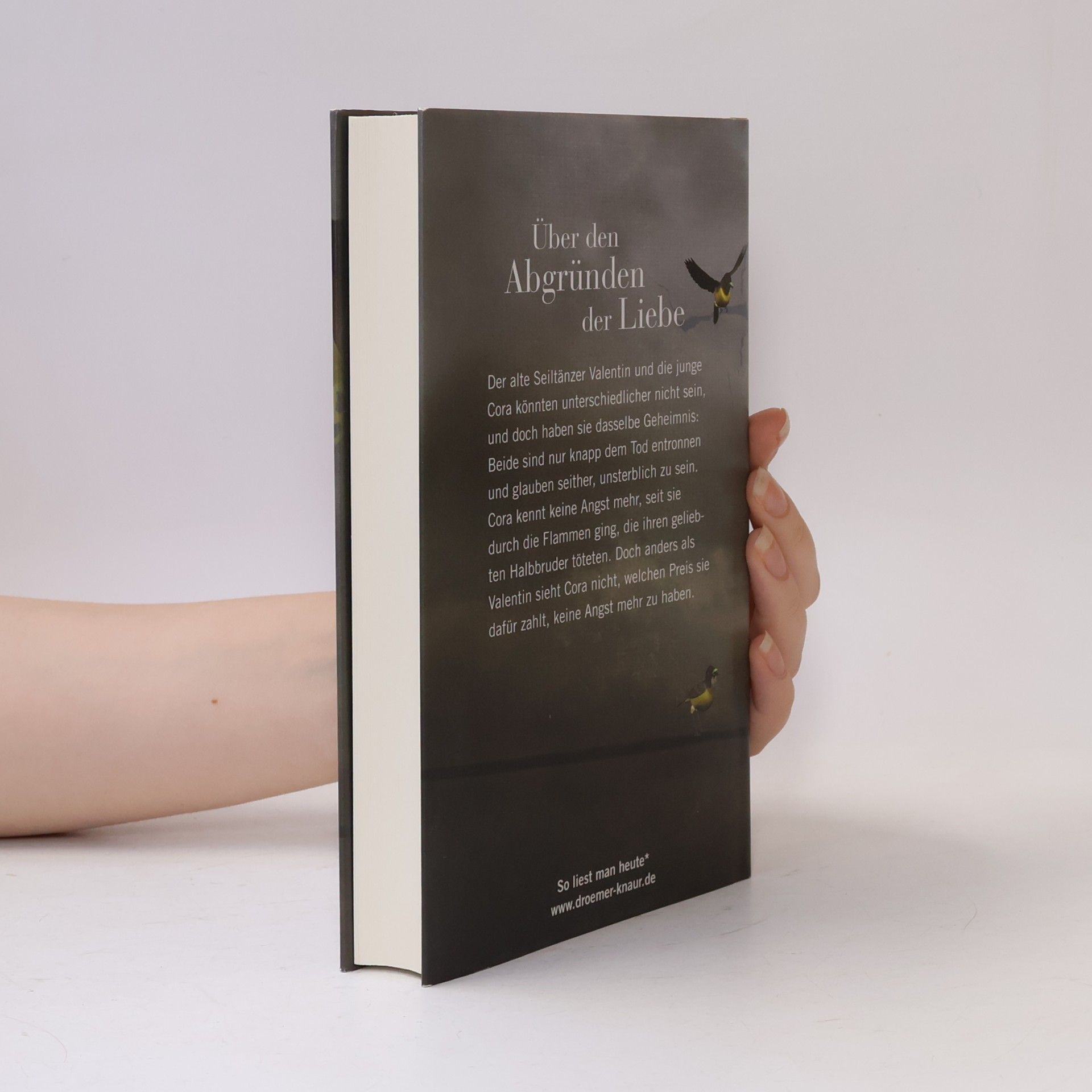 Tabea Bach Das Lied von der unsterblichen Liebe