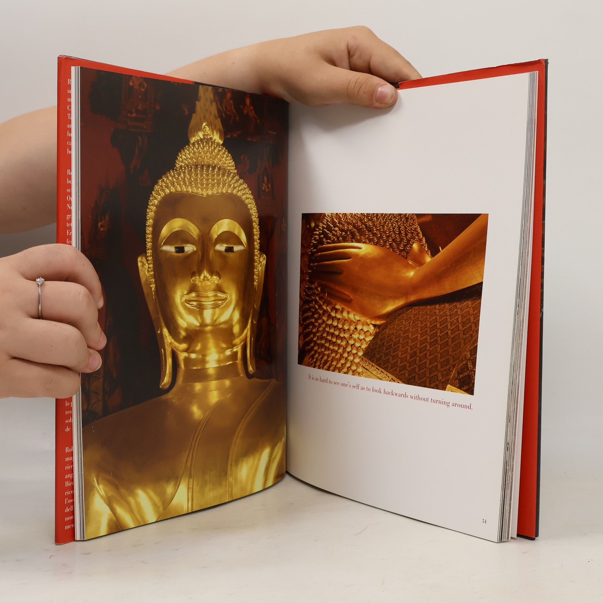 Robin Kyte-Coles The Spirit of Buddha