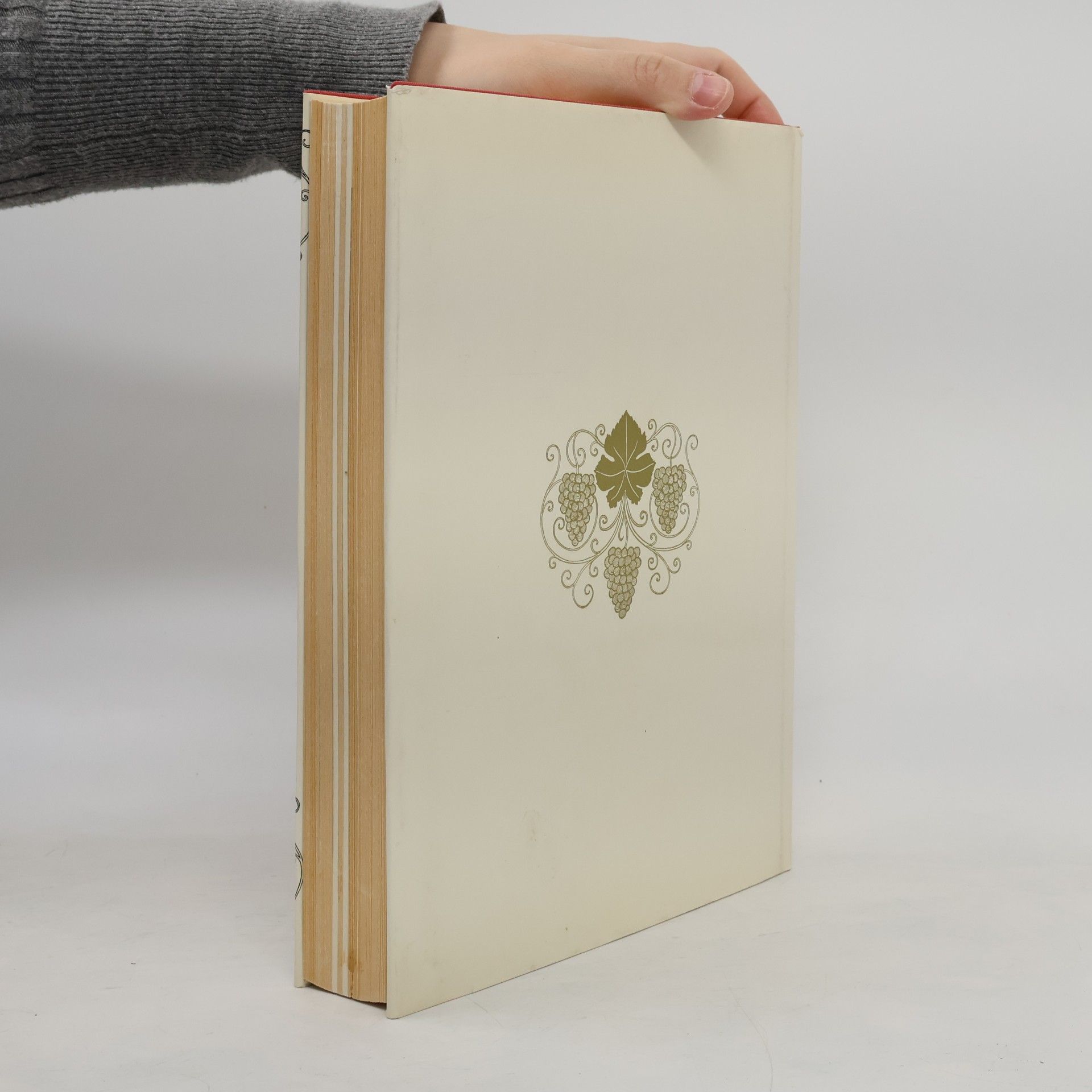 Hans Huyn Das Tiroler Weinbuch