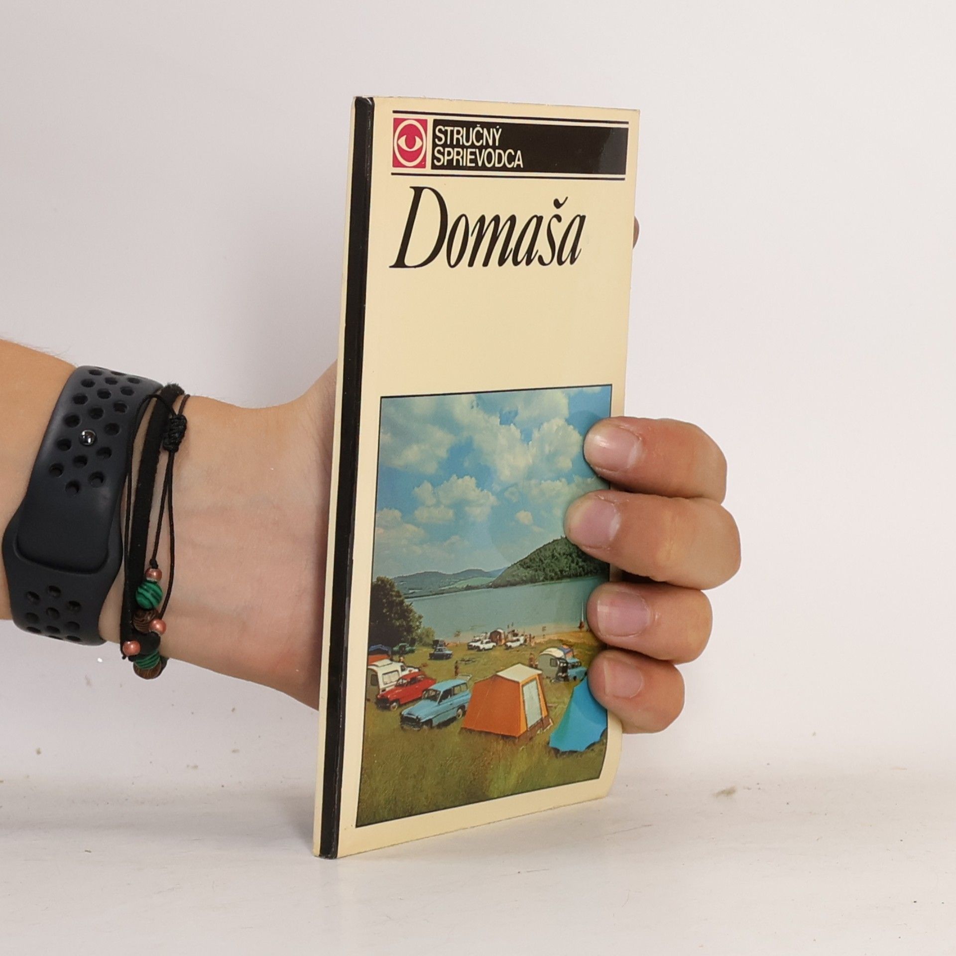 Viliam Zahatňanský Domaša